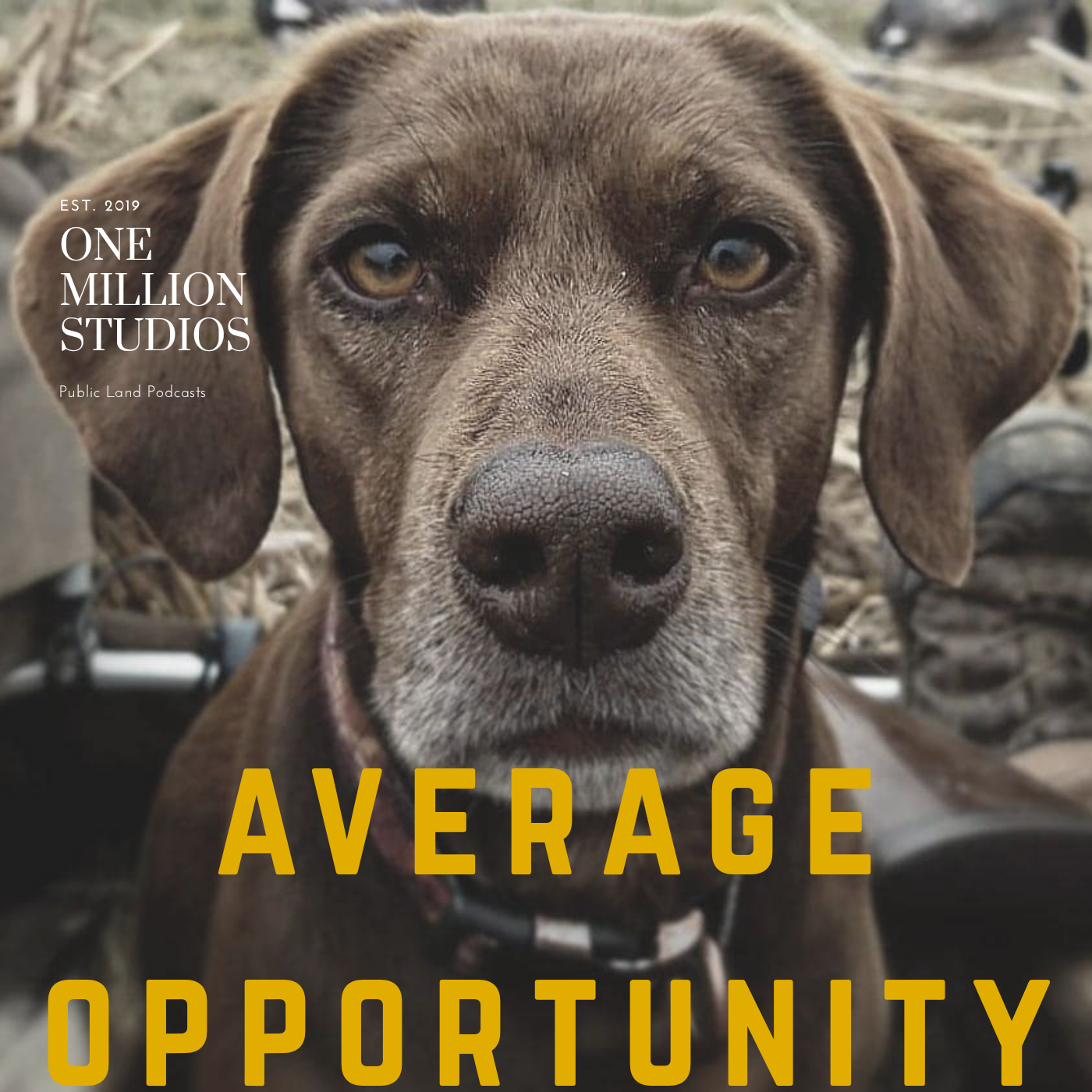 EP2. Jeff Stanfield of Stanfield Hunting Outfitters and The Big Honker Podcast