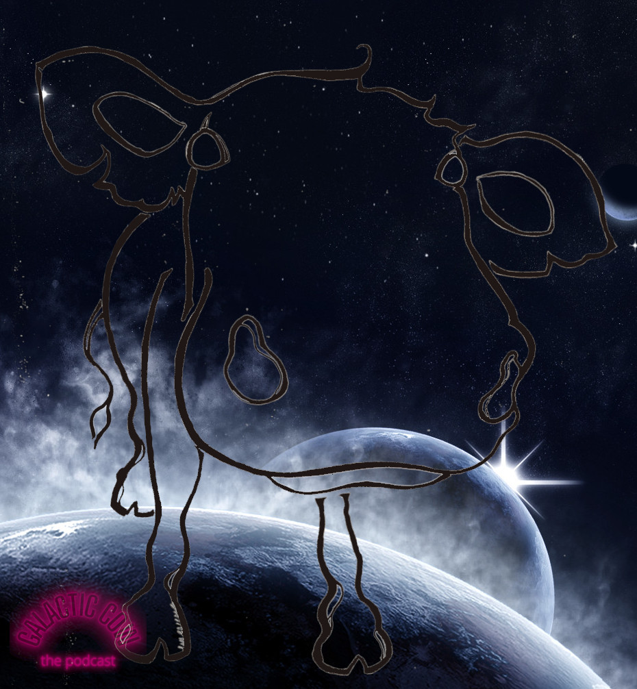 The Galactic Cow: Conversations about teaching, the Universe, and everything