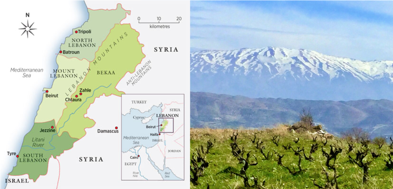 Ep 328: The Wines of Lebanon