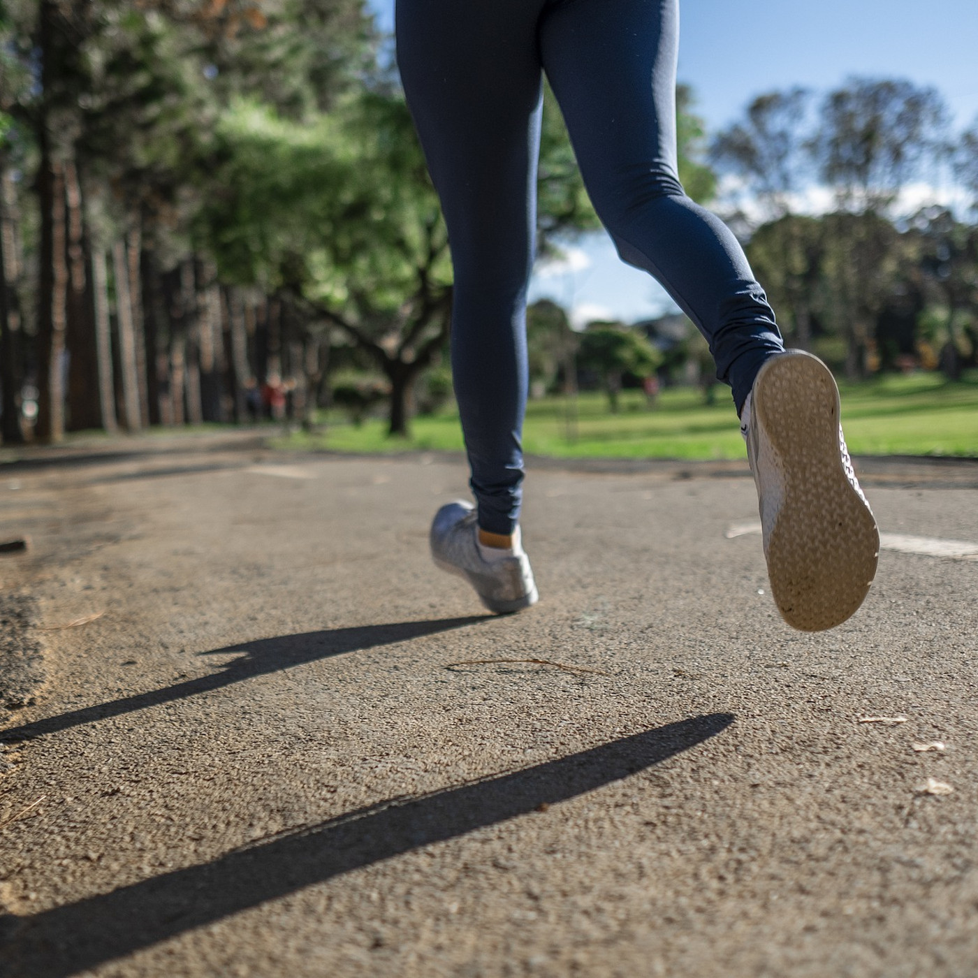 Kshanti, The Perfection of Endurance: Life's Not Always a Bed of Roses