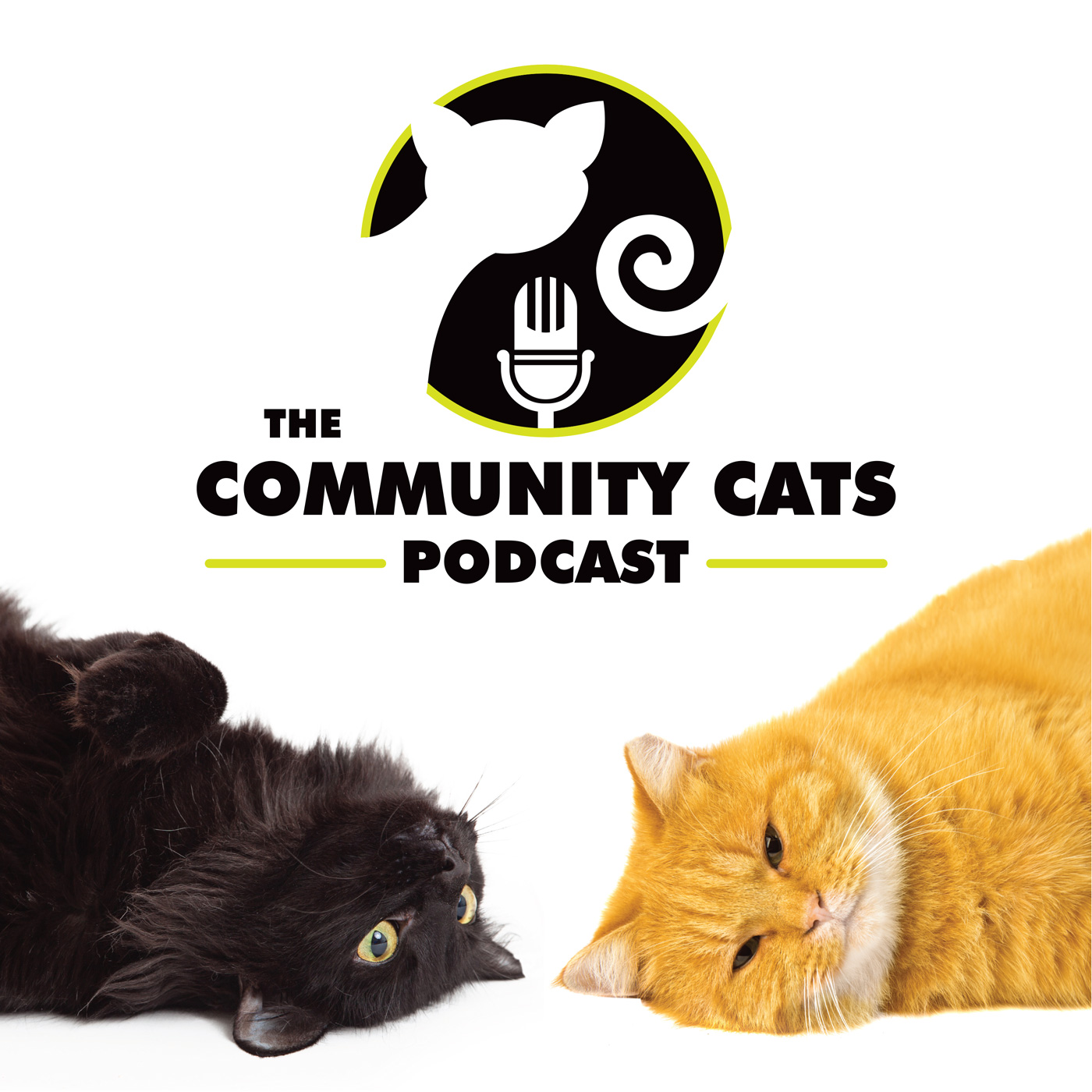 Lora O’Connor, The National Kitten Coalition
