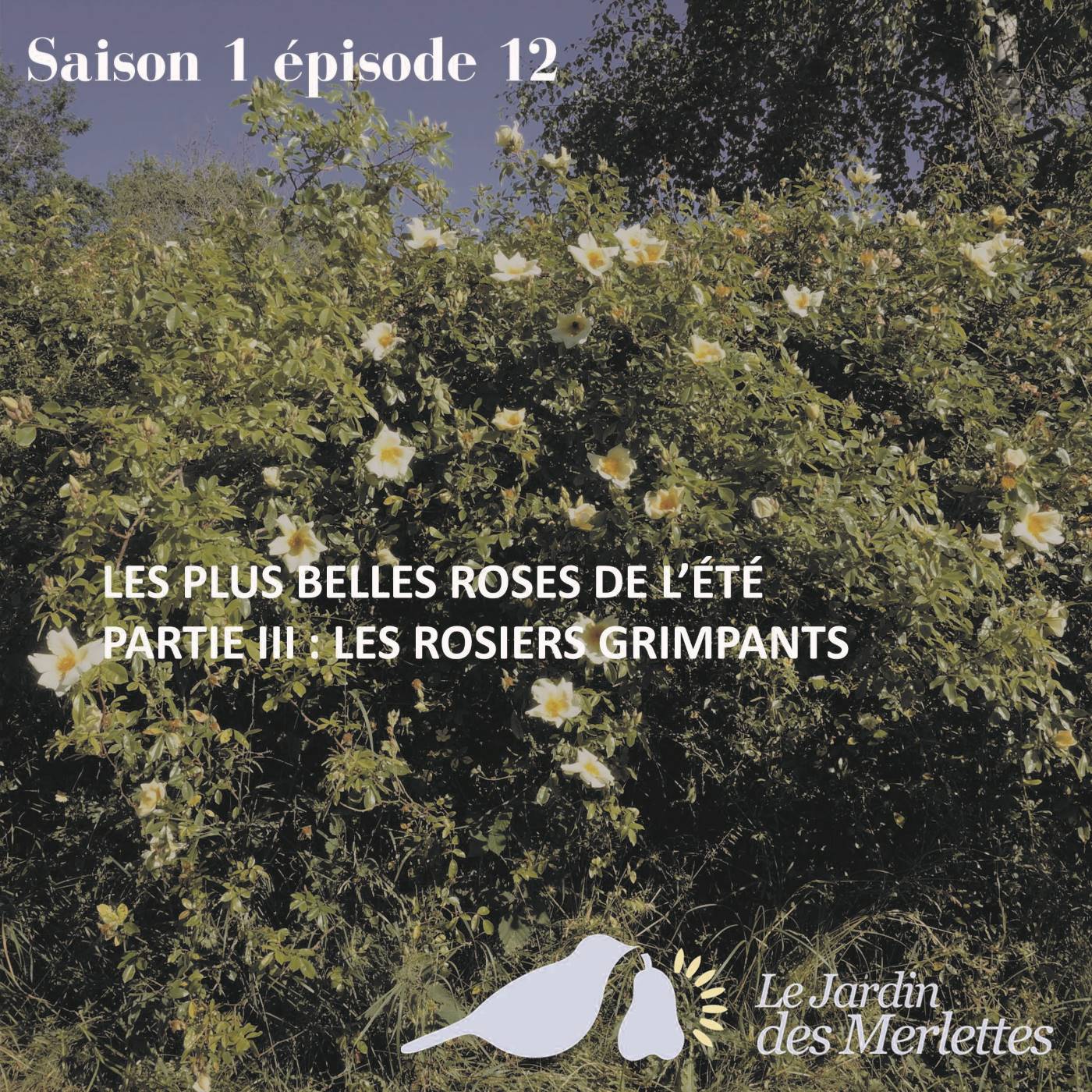 Le podcast du Jardin des Merlettes
