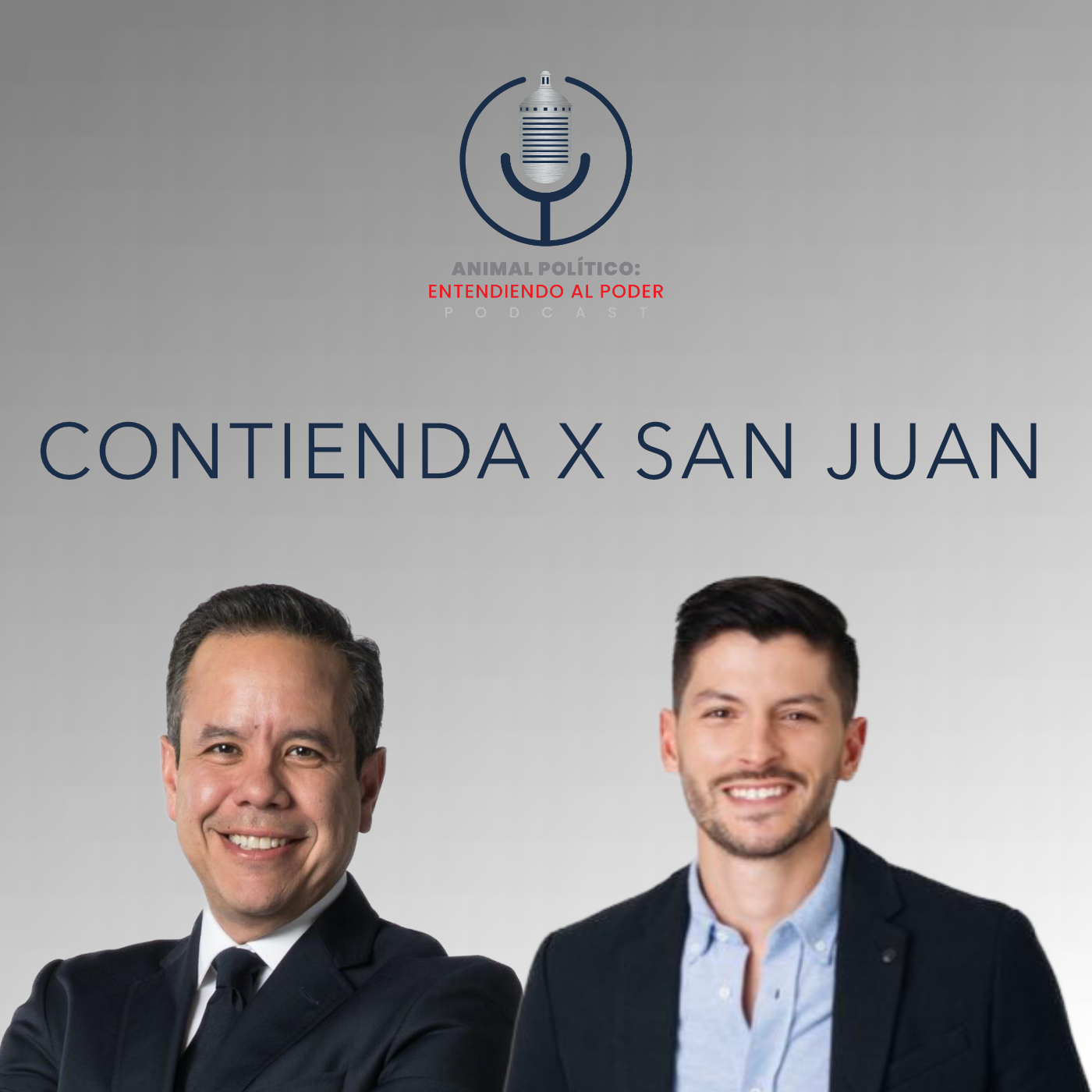 Animal Político: Entendiendo al Poder
