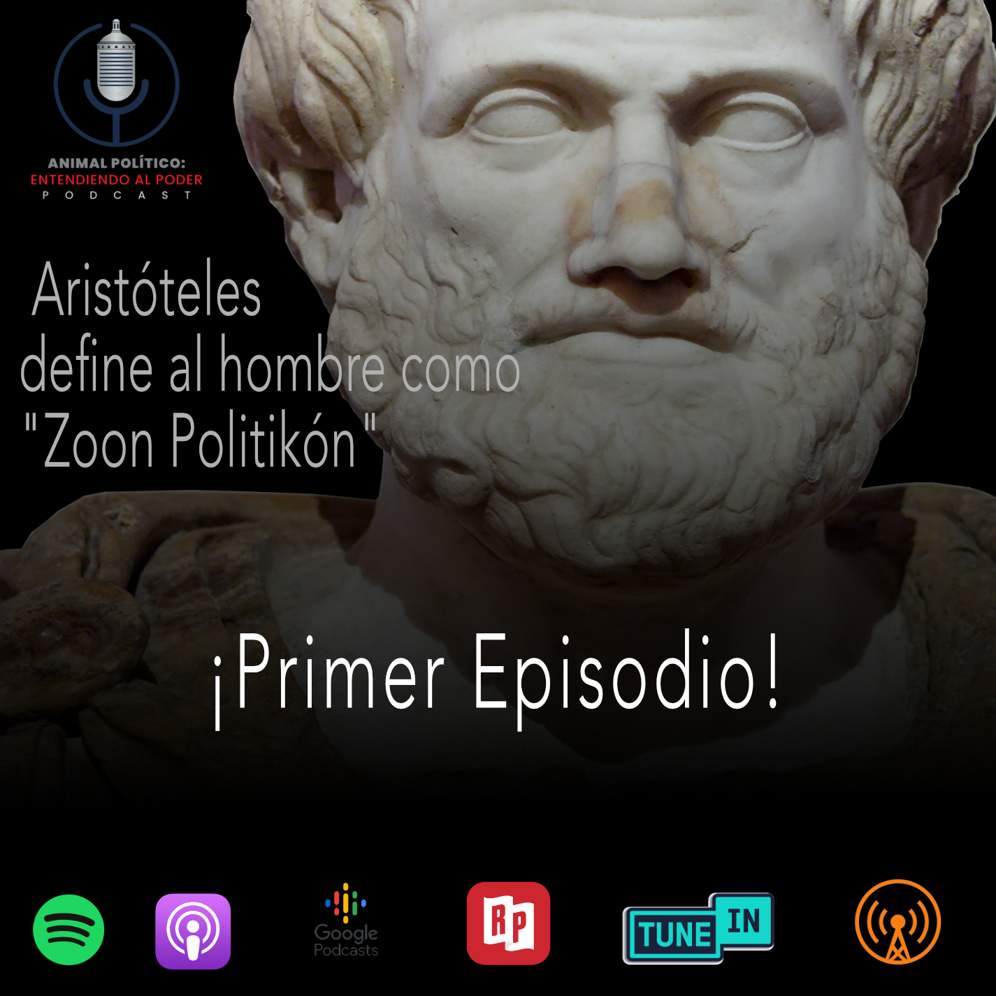 Animal Político: Entendiendo al Poder