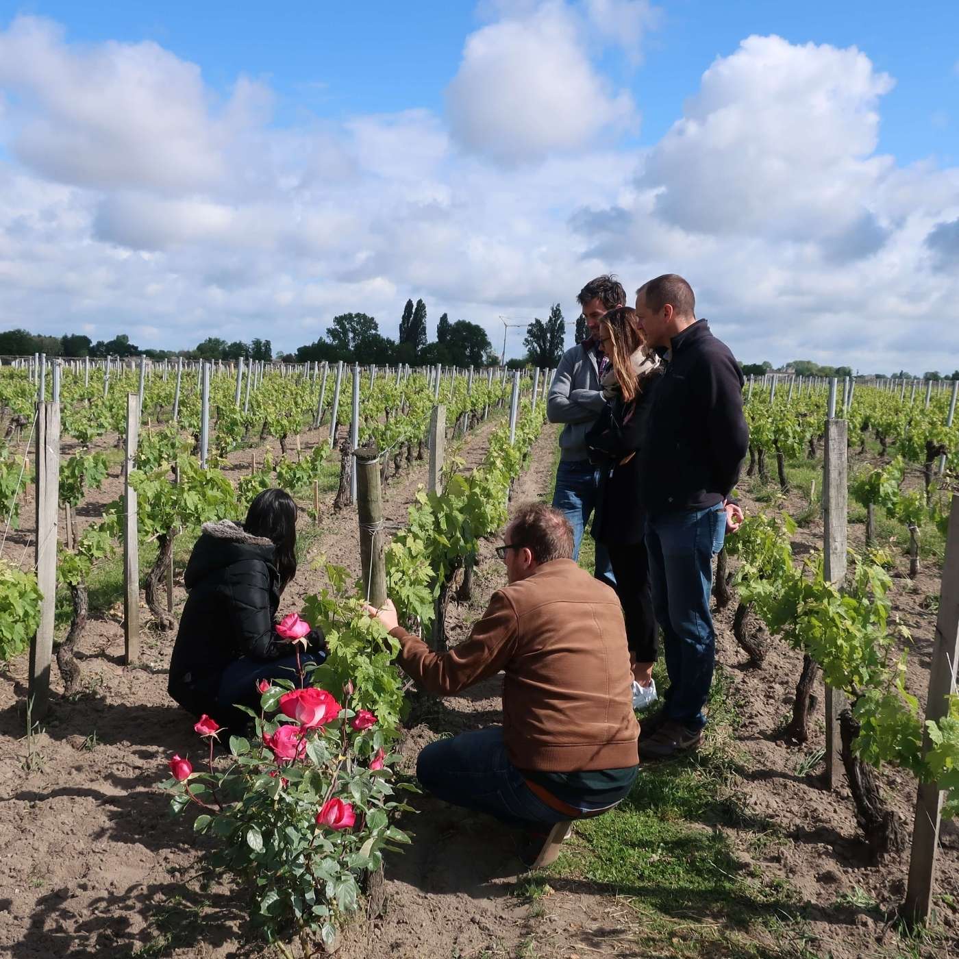 Day-Trips Around Bordeaux