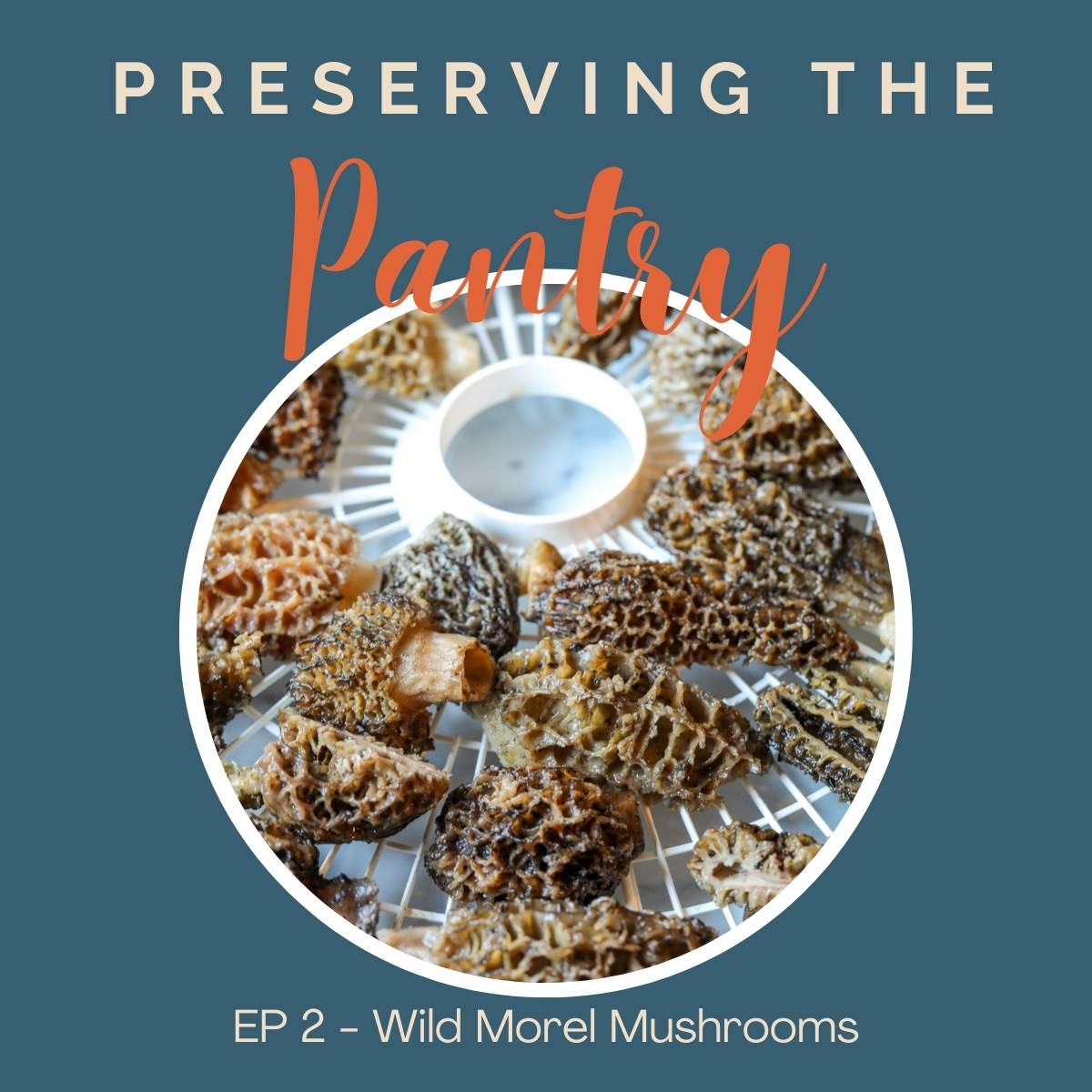 Preserving the Pantry