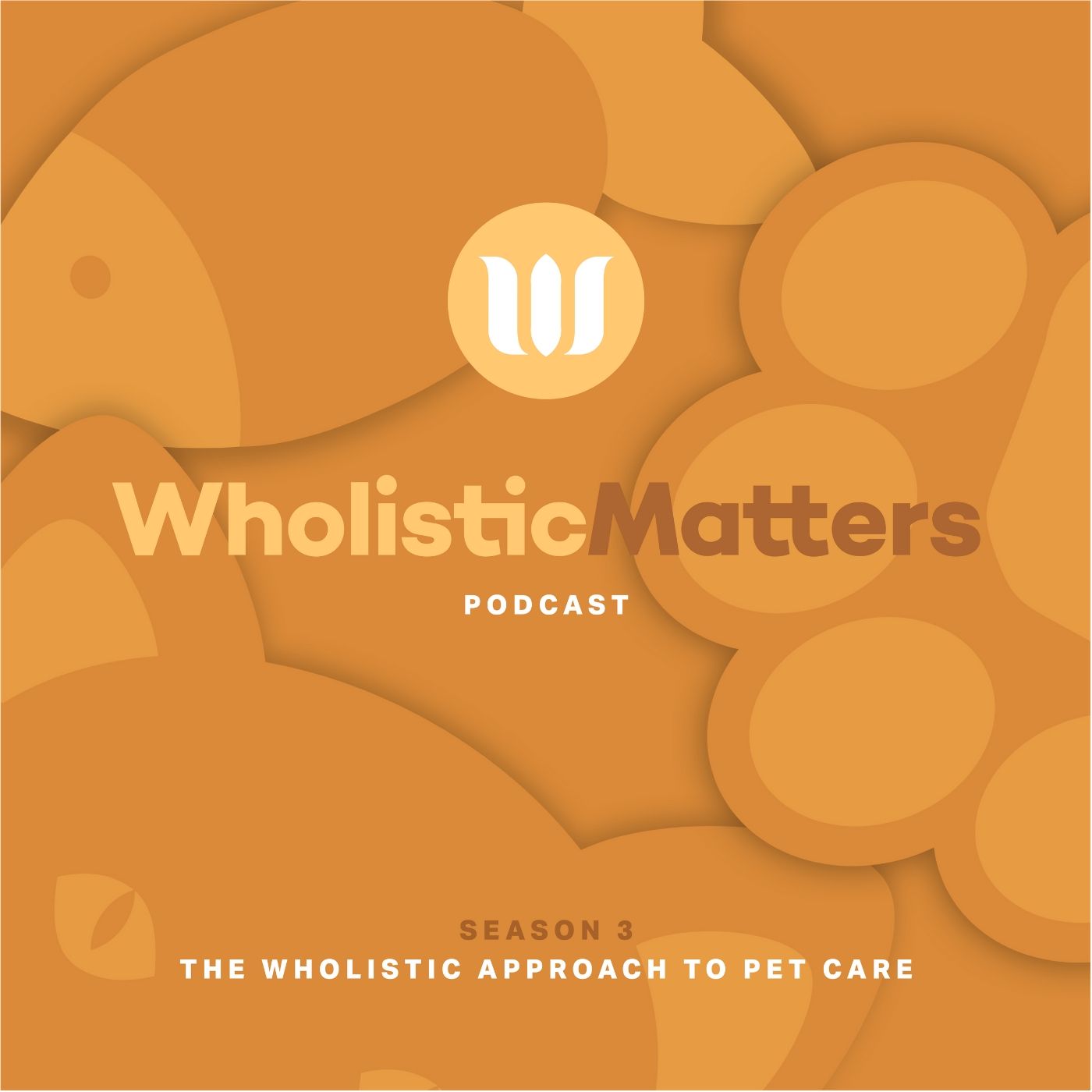 WholisticMatters Podcast Series