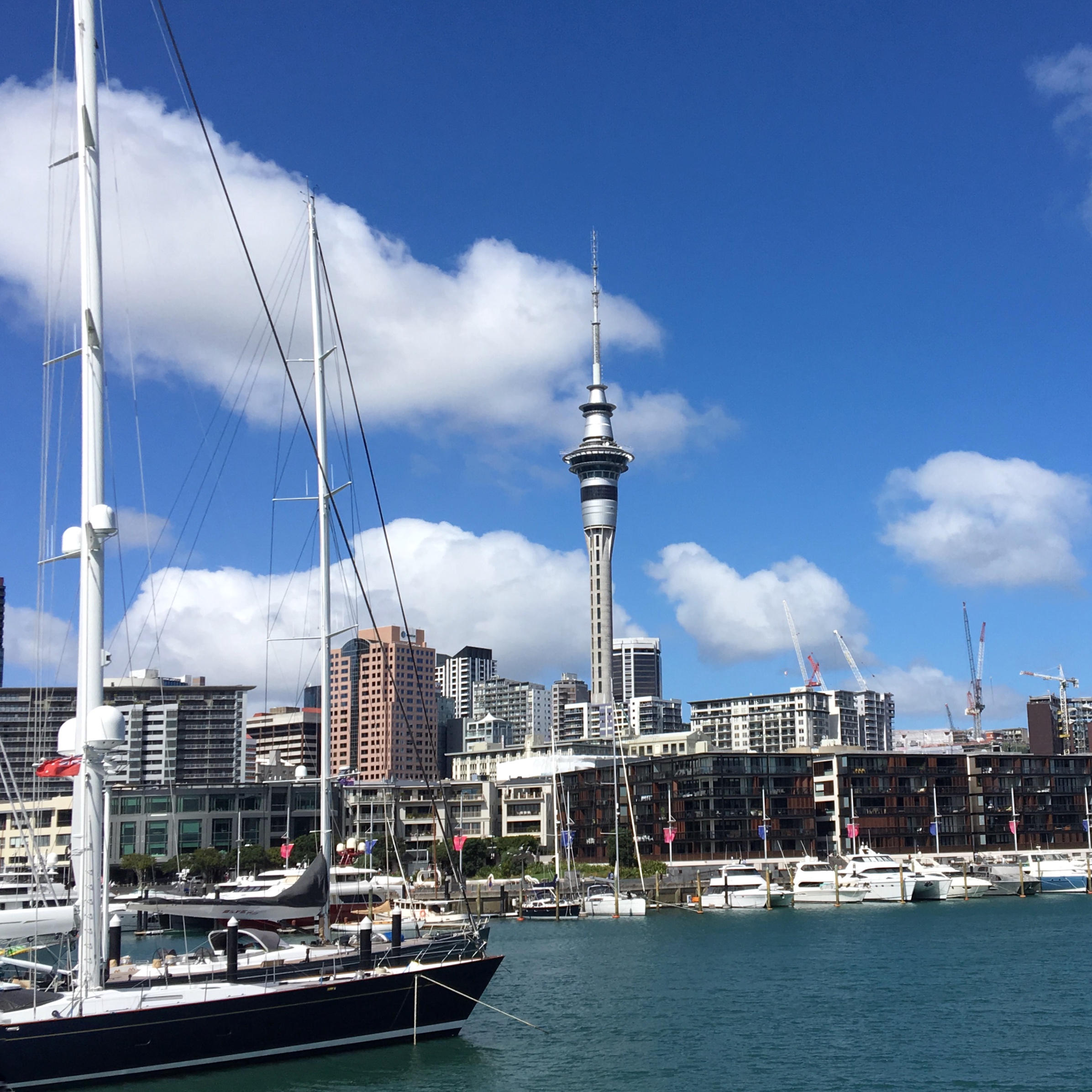 Top 10 cheap things to do in Auckland Indie Travel Podcast (enhanced