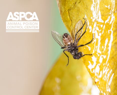 ASPCA Animal Poison Control Center for Owners
