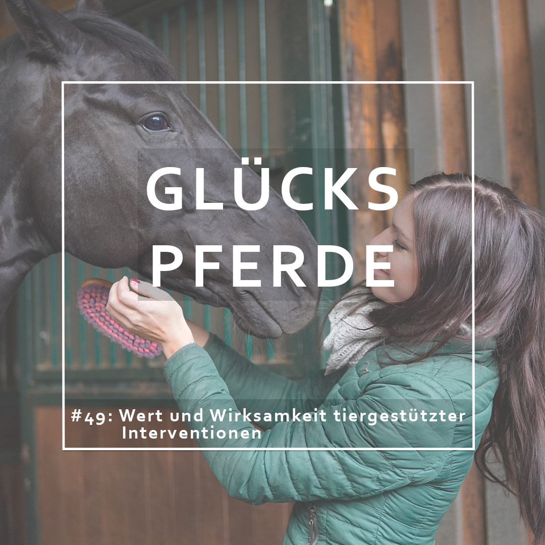 GlücksPferde - Erfüllt leben im Spiegel der Pferde