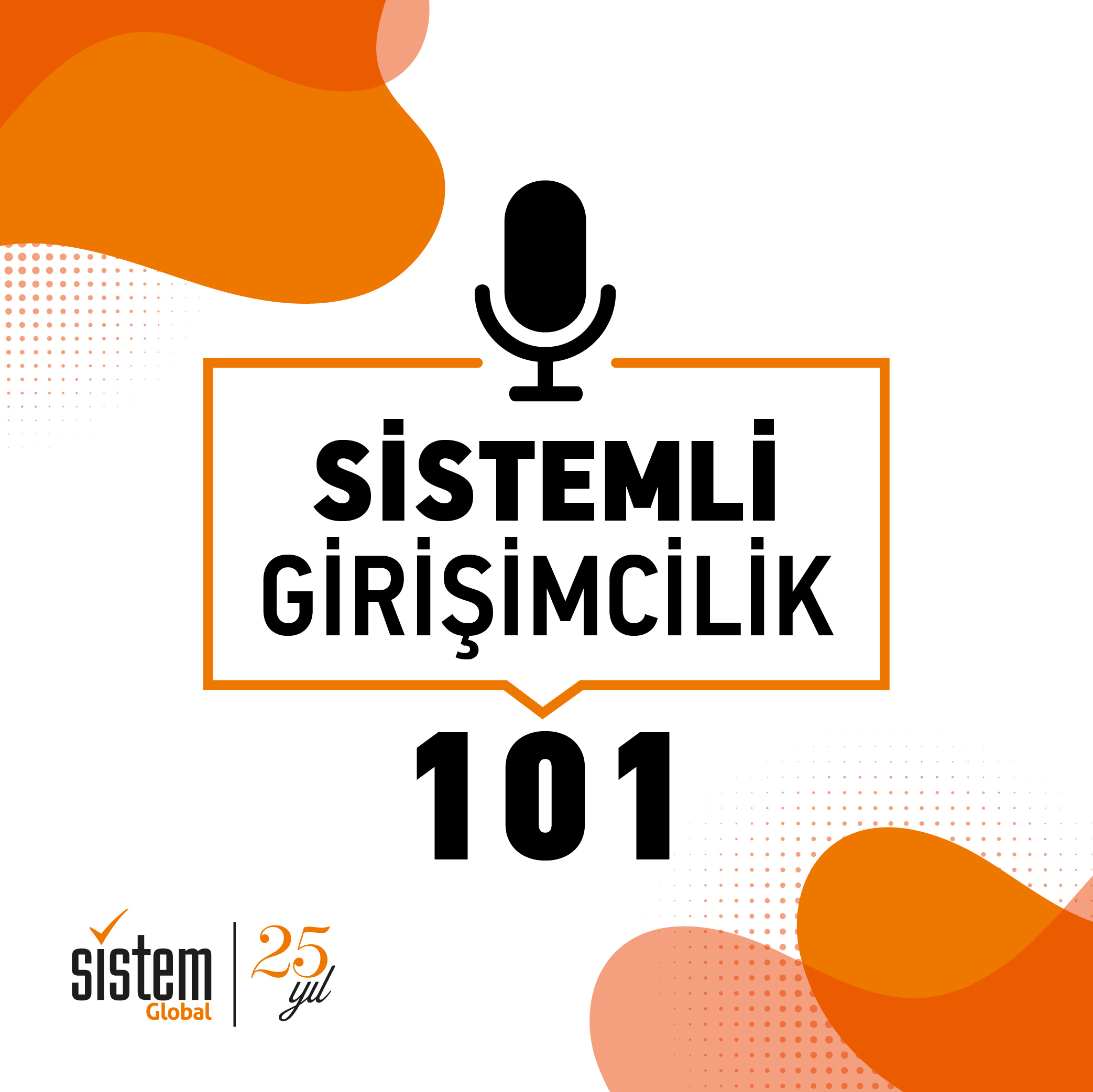 Sistemli Girişimcilik 101