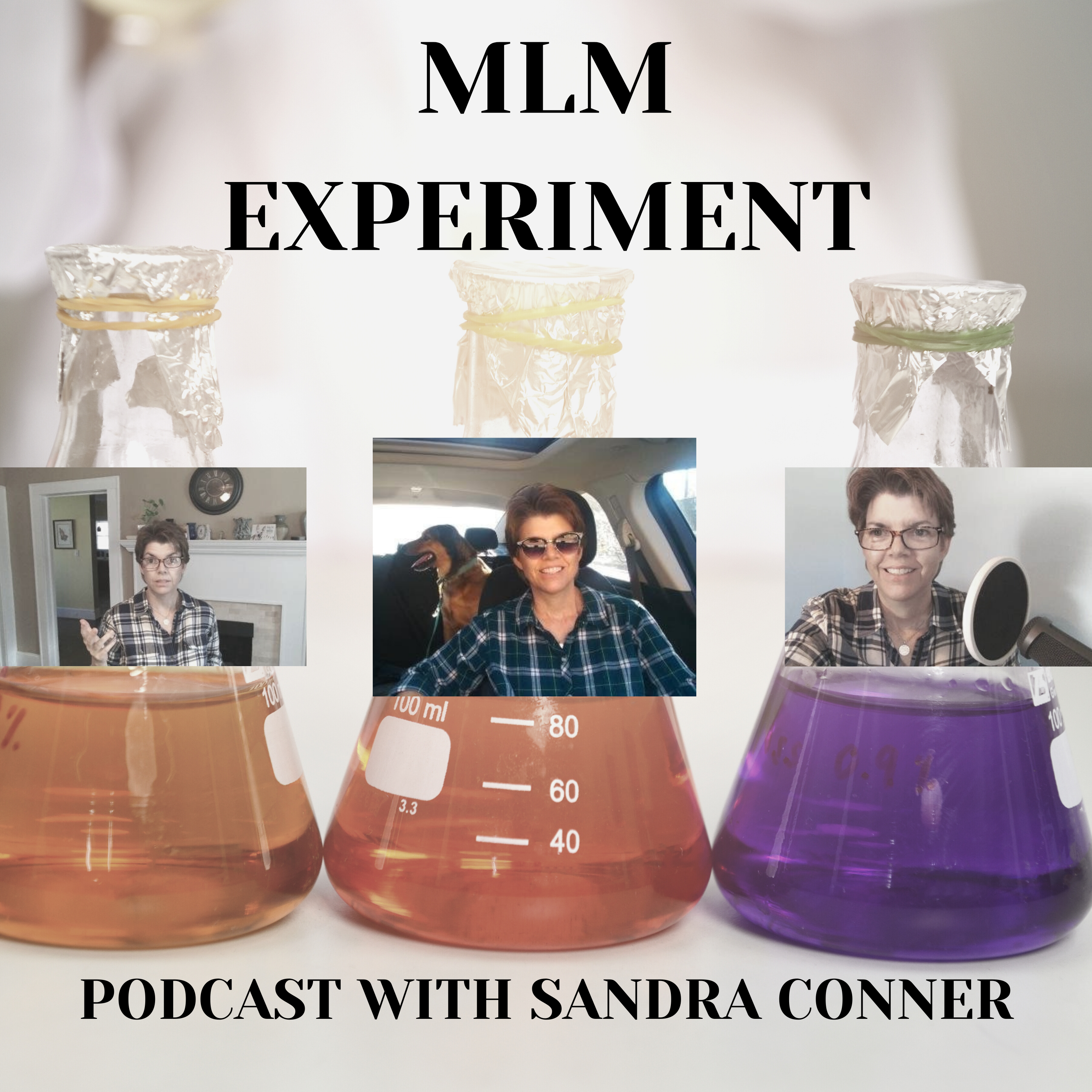 MLM Experiment Podcast