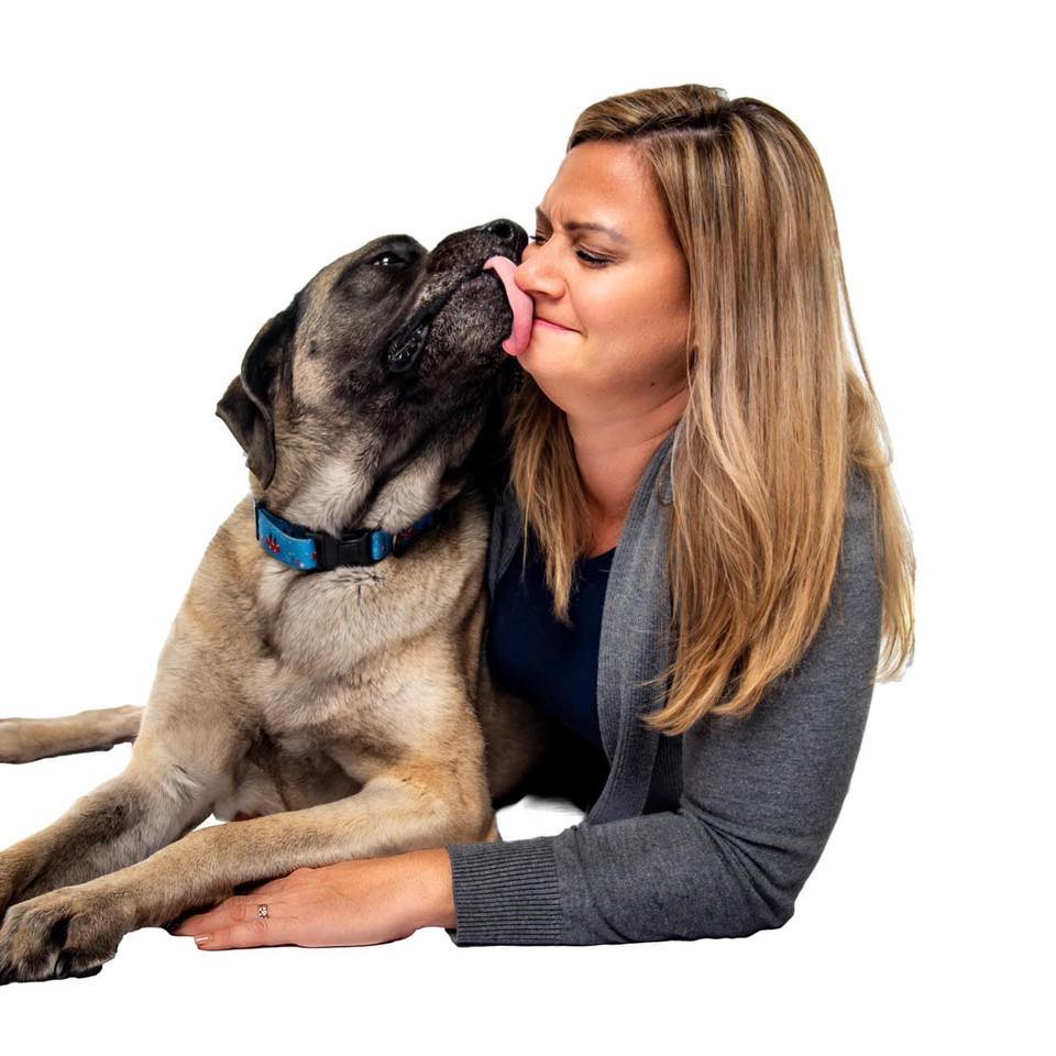 The Vet Reset
