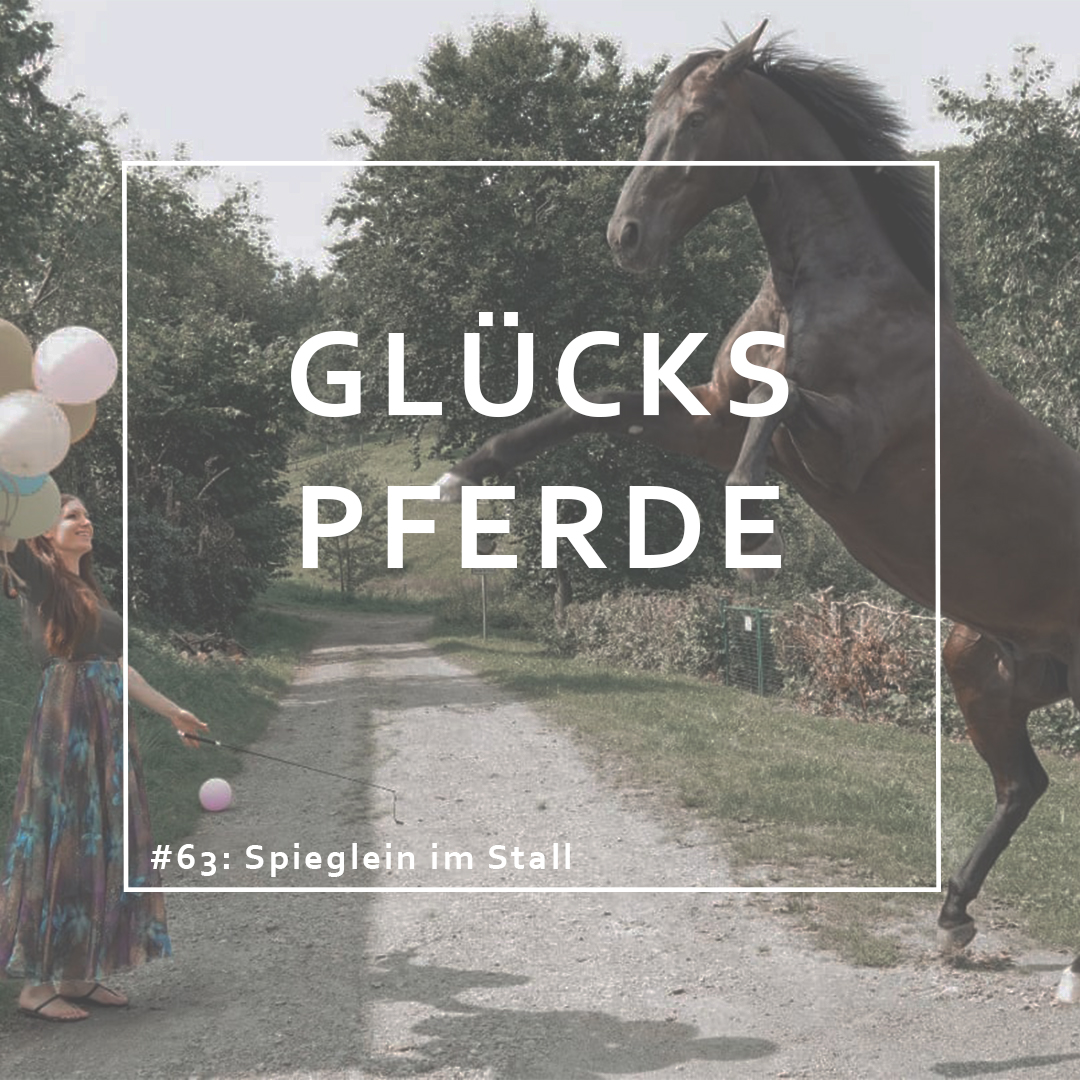 GlücksPferde - Erfüllt leben im Spiegel der Pferde