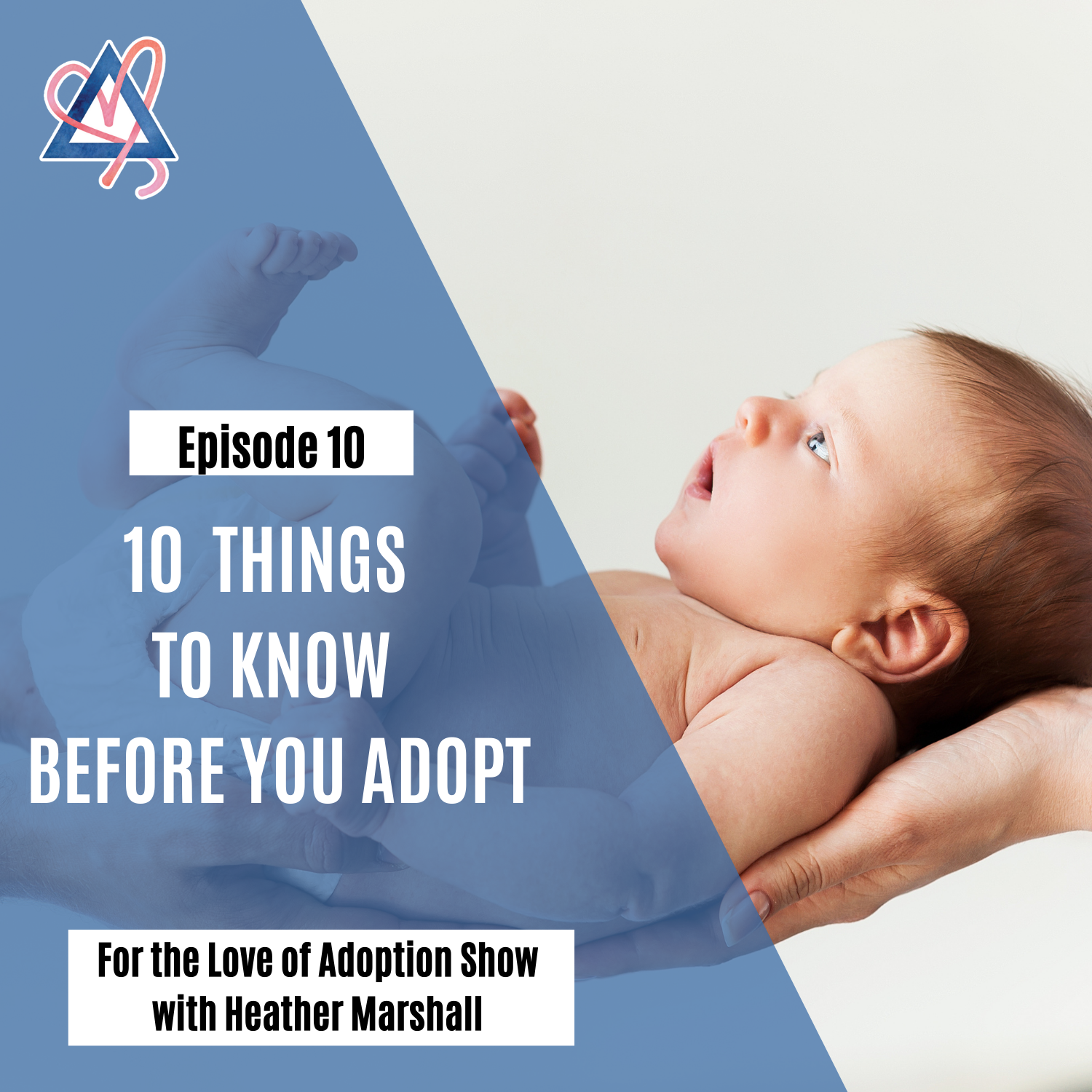 For the Love of Adoption Show
