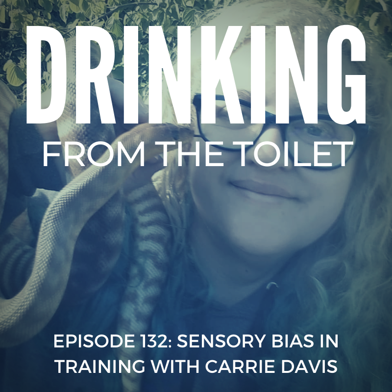 #132: Sensory Bias in Training with Carrie Davis