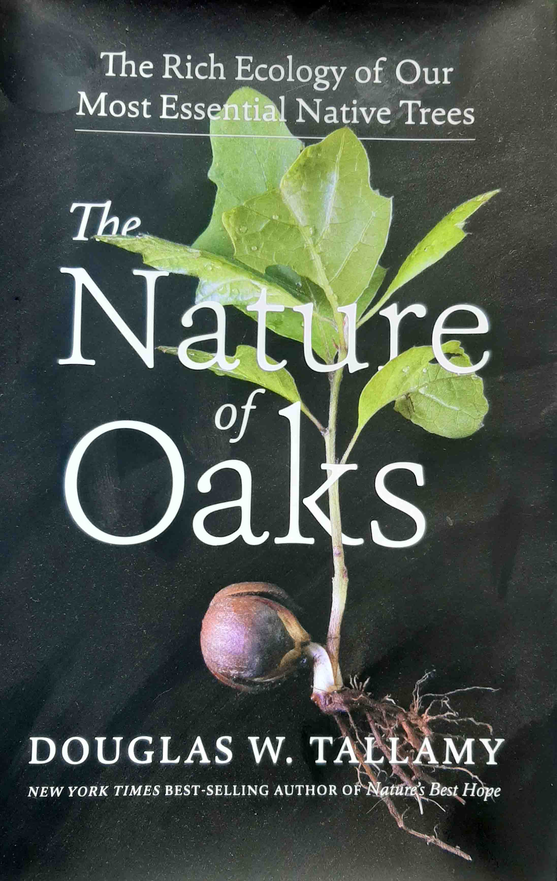 nativeplantpodcast\'s podcast