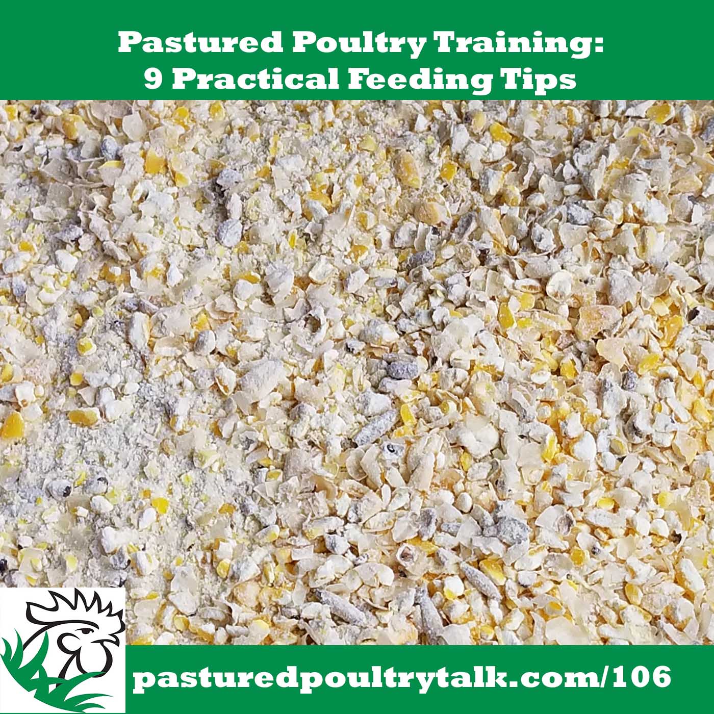 9 Practical Tips for Feeding Your Pastured Poultry (PPT106)