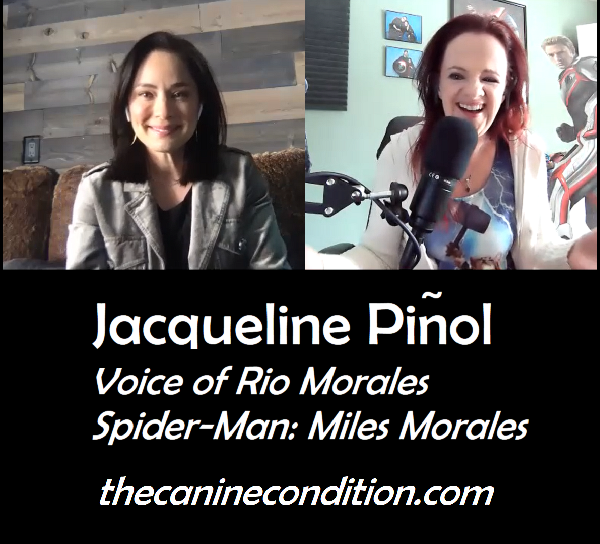 Pet Pals PAWdcast with KJ