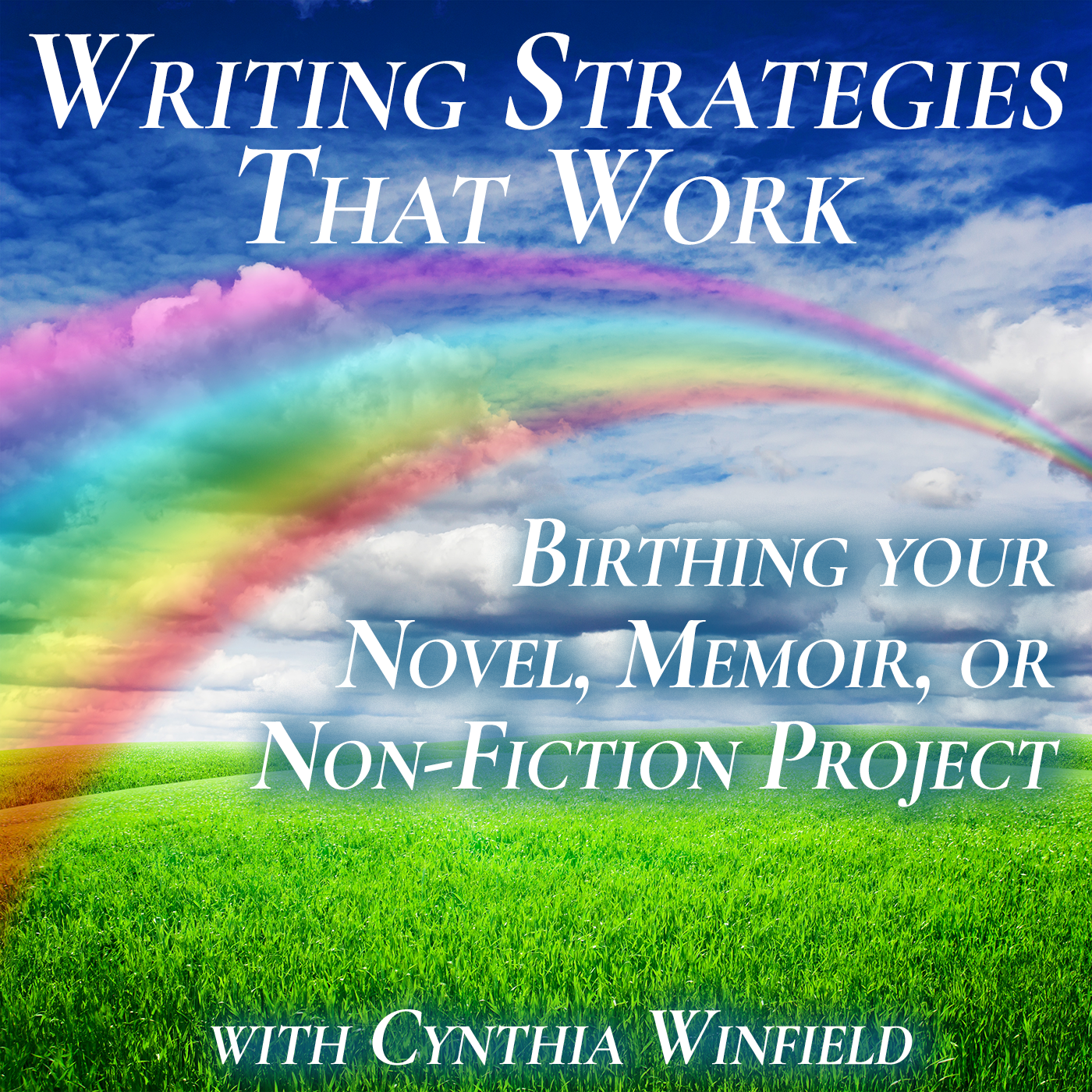 Writing Strategies that Work: Birthing your novel, memoir, or nonfiction project cover art