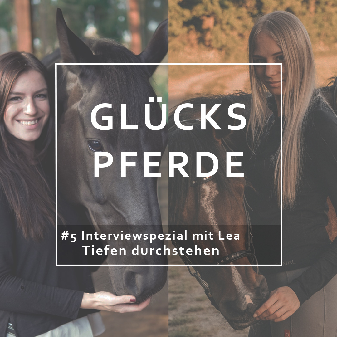 GlücksPferde - Erfüllt leben im Spiegel der Pferde