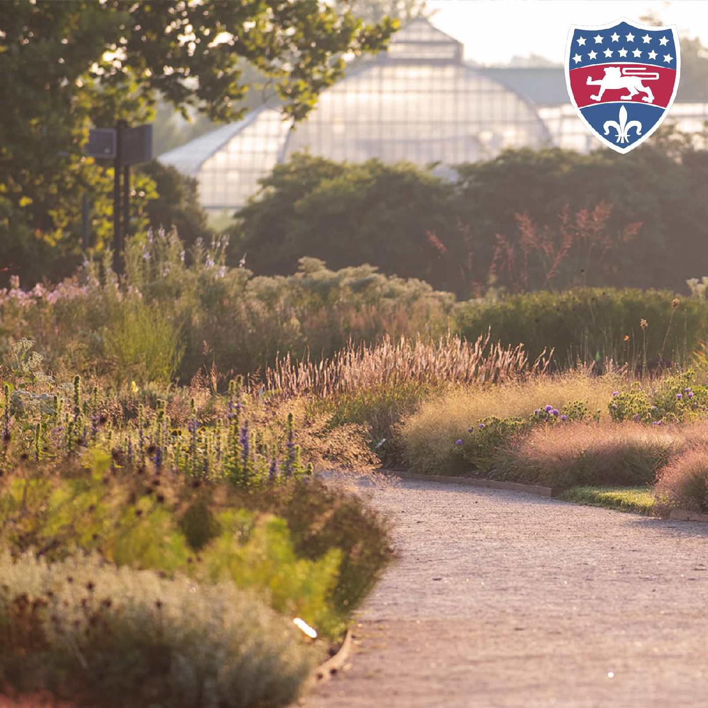 Meet the Oudolf Garden on Belle Isle; Plus 5 stories to know around town