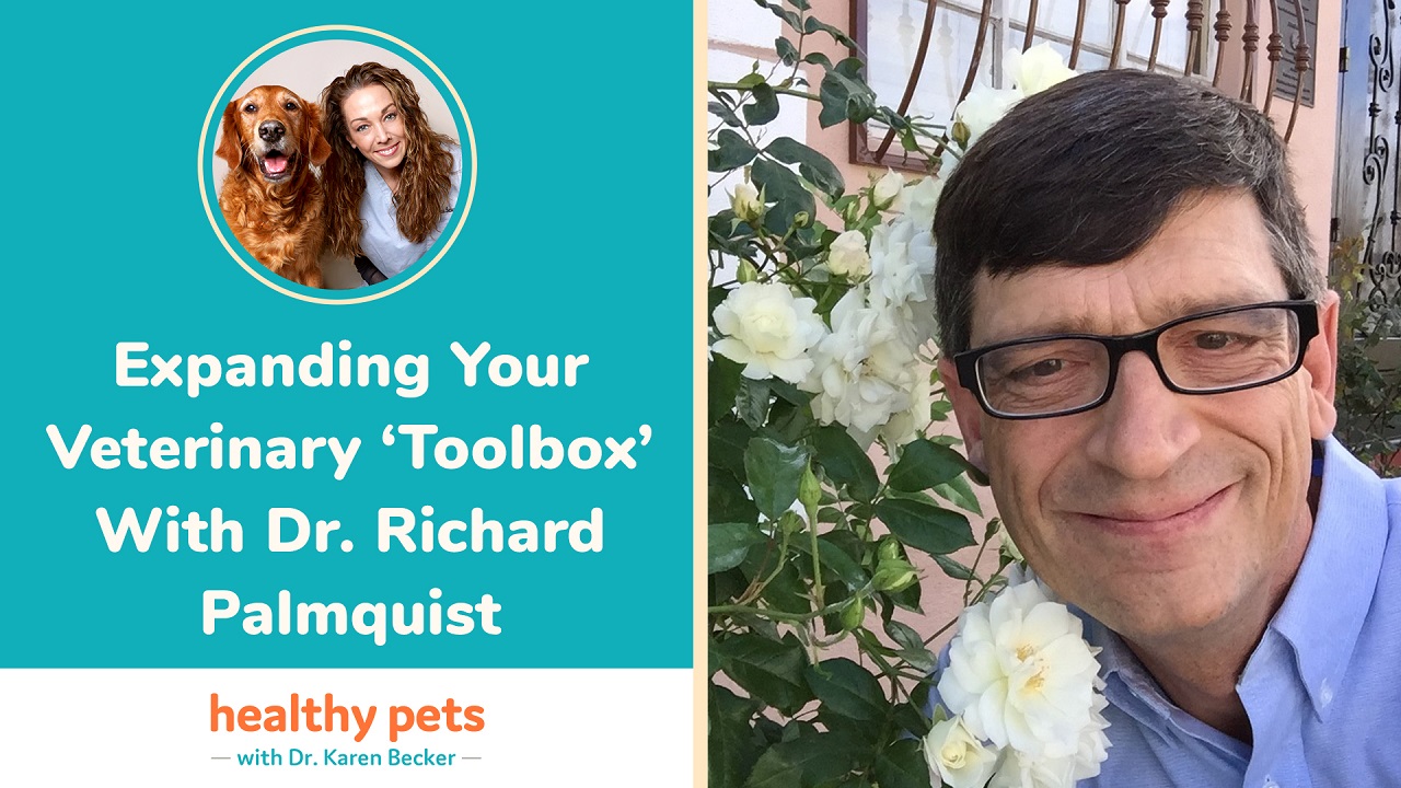 Expanding Your Veterinary ‘Toolbox’ With Dr. Richard Palmquist