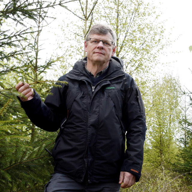 Avsnitt 11 #skogenochframtiden - Granbarkborren och makten