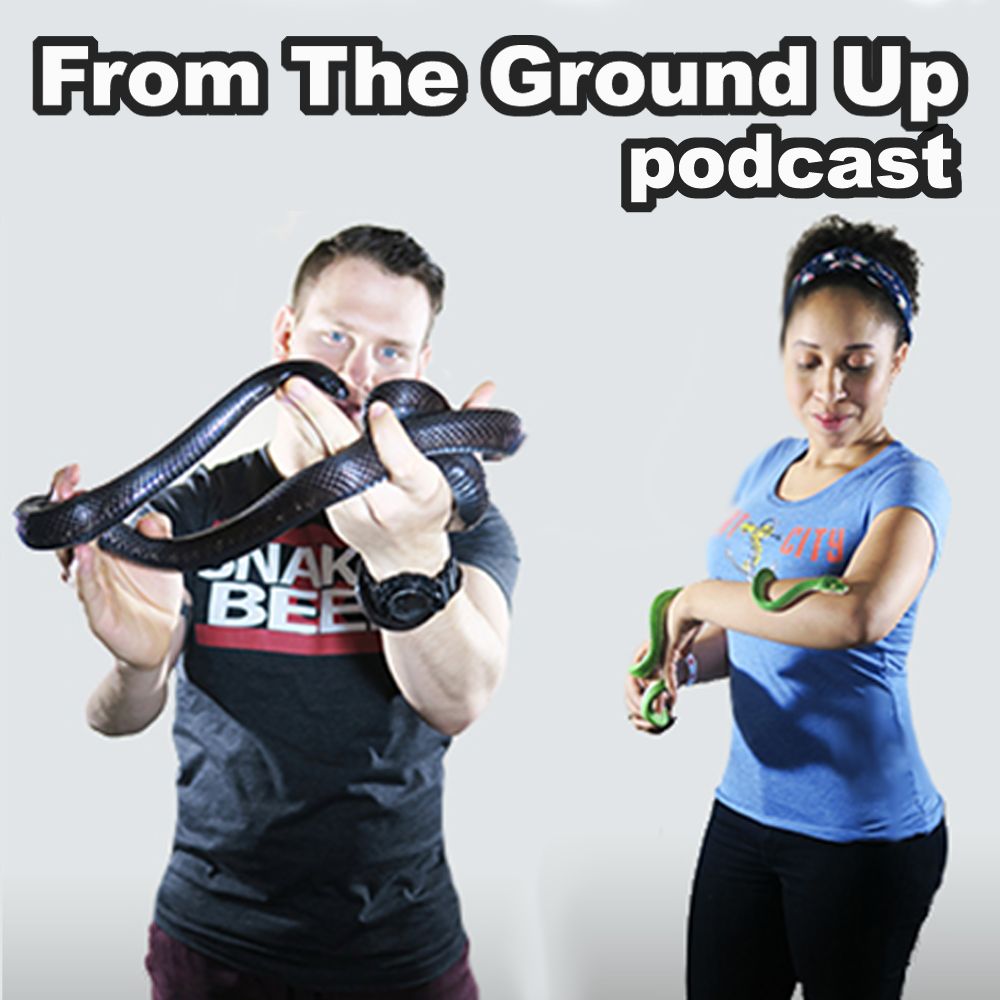 Strength In Leos Podcast