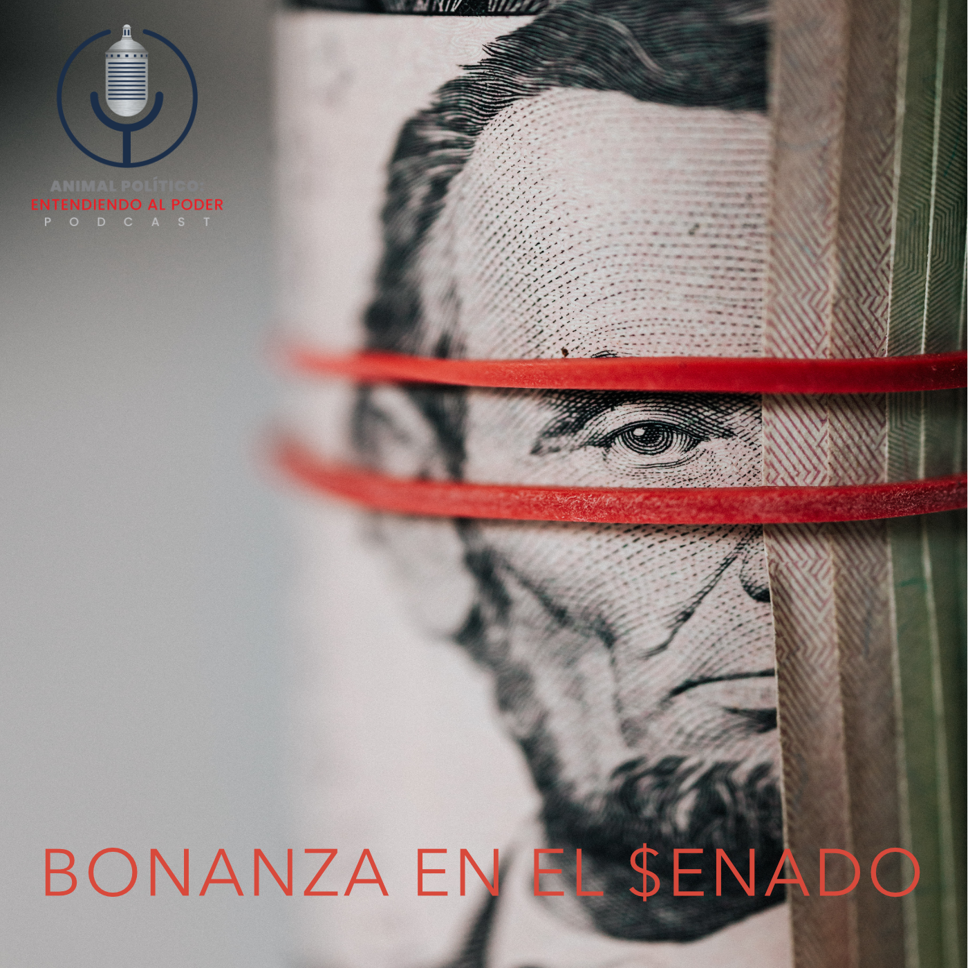 Animal Político: Entendiendo al Poder