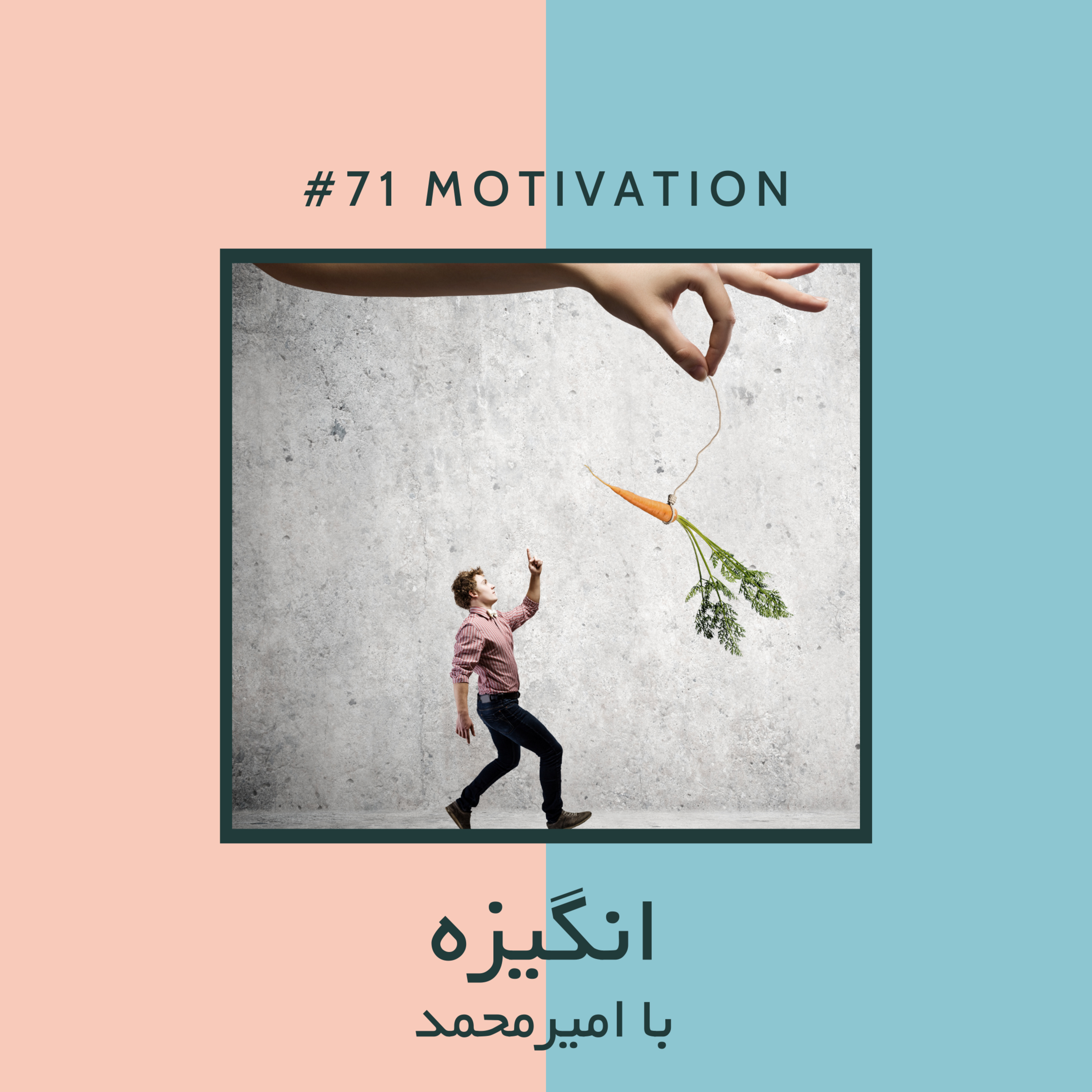 AJIL | آجیل