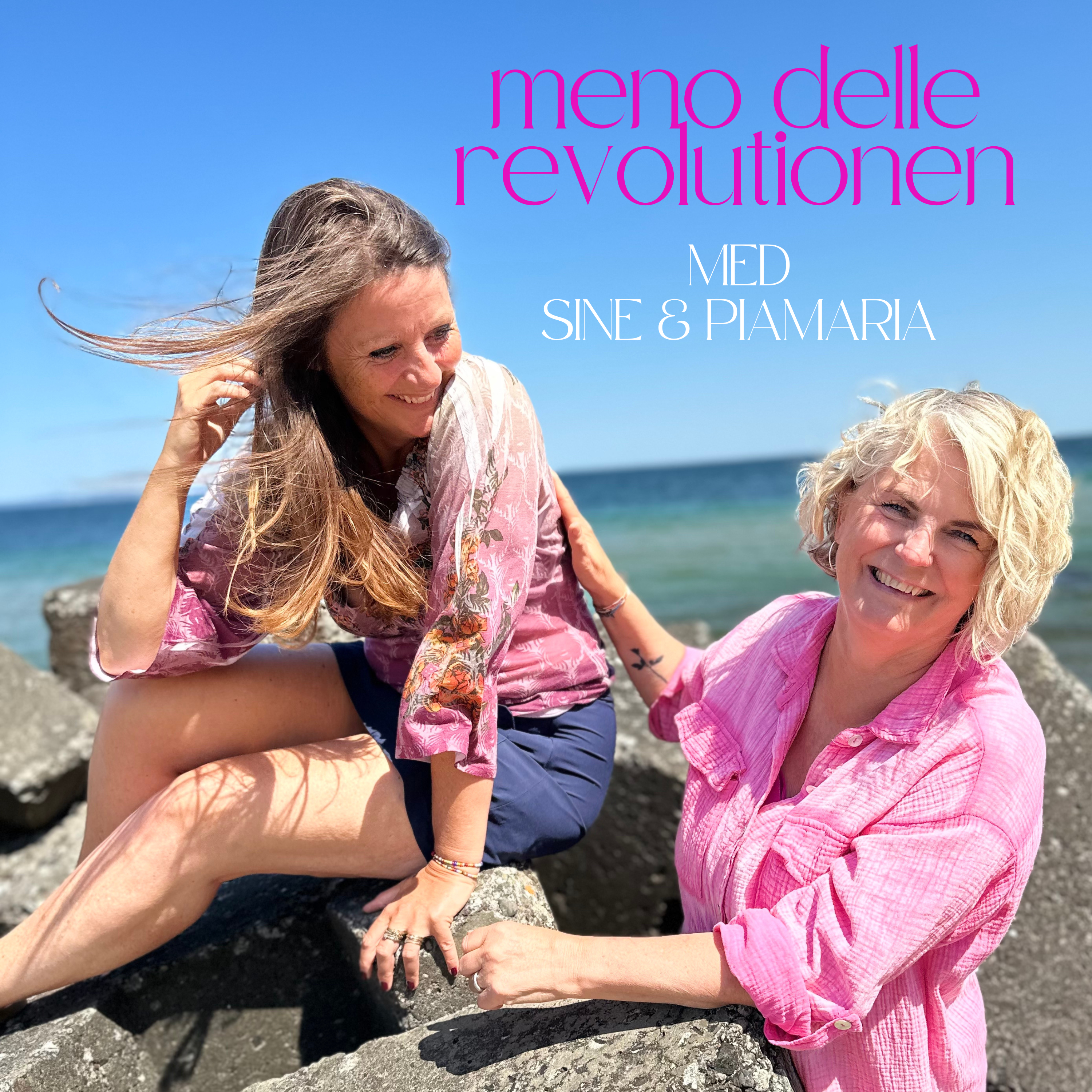 Meno Delle Revolutionen