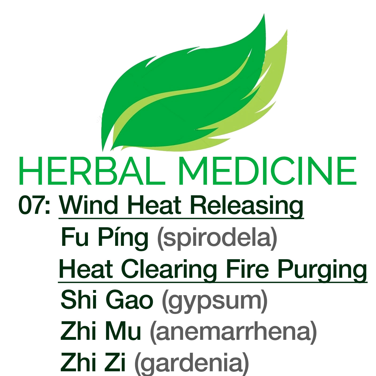Herbal Medicine: A Guide to Single Herbs and their Clinical Application