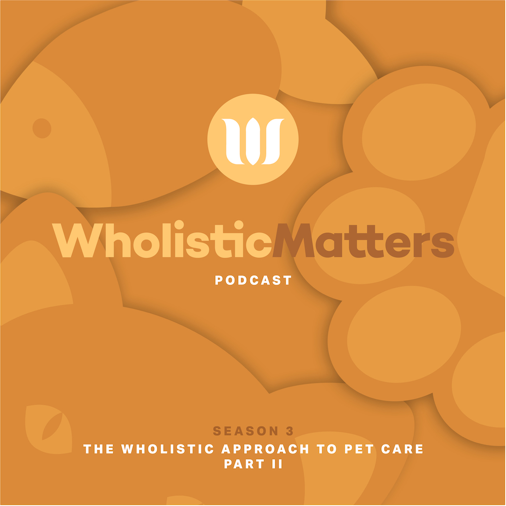 WholisticMatters Podcast Series