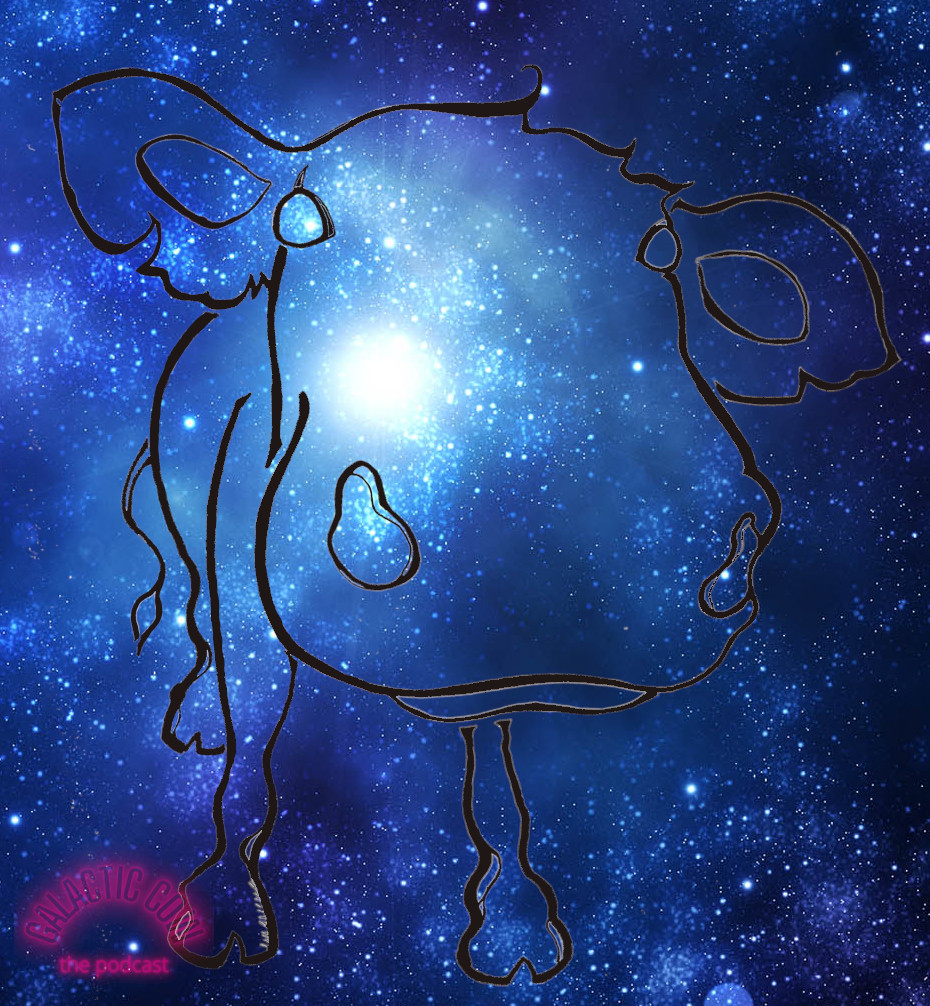 The Galactic Cow: Conversations about teaching, the Universe, and everything