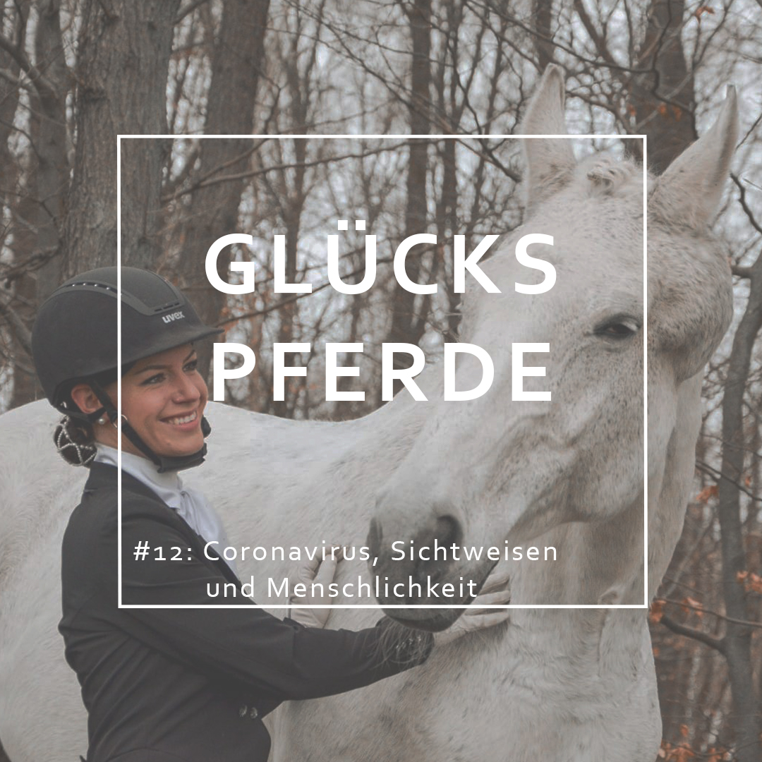 GlücksPferde - Erfüllt leben im Spiegel der Pferde