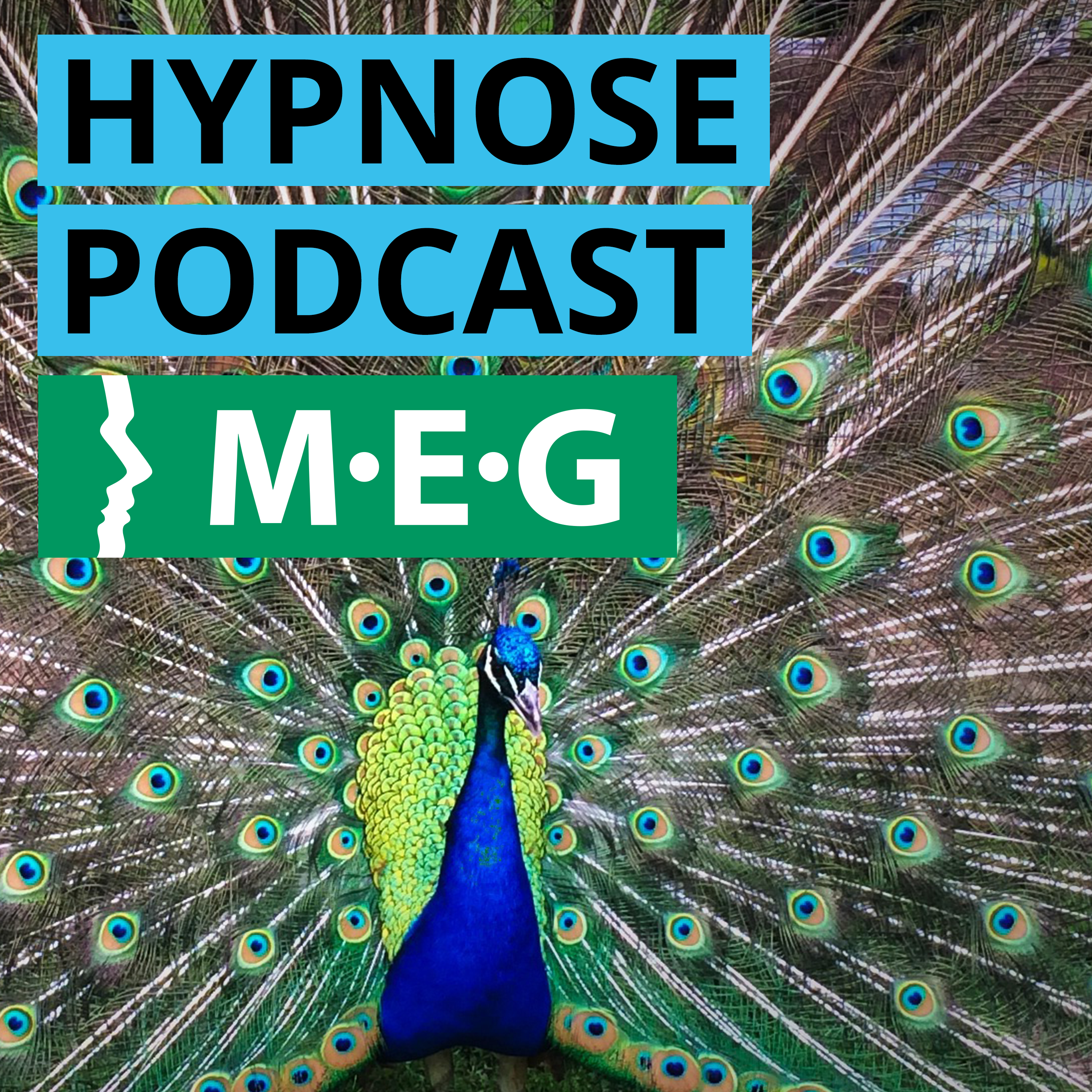 #11 Prof. Anil Batra über die Wirksamkeit der Hypnotherapie bei der Behandlung der Depression (Studie)
