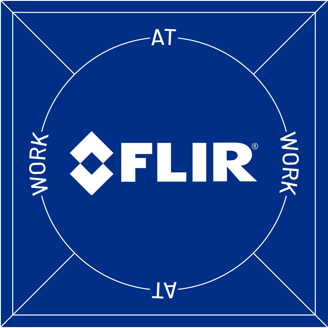 3. Work at FLIR