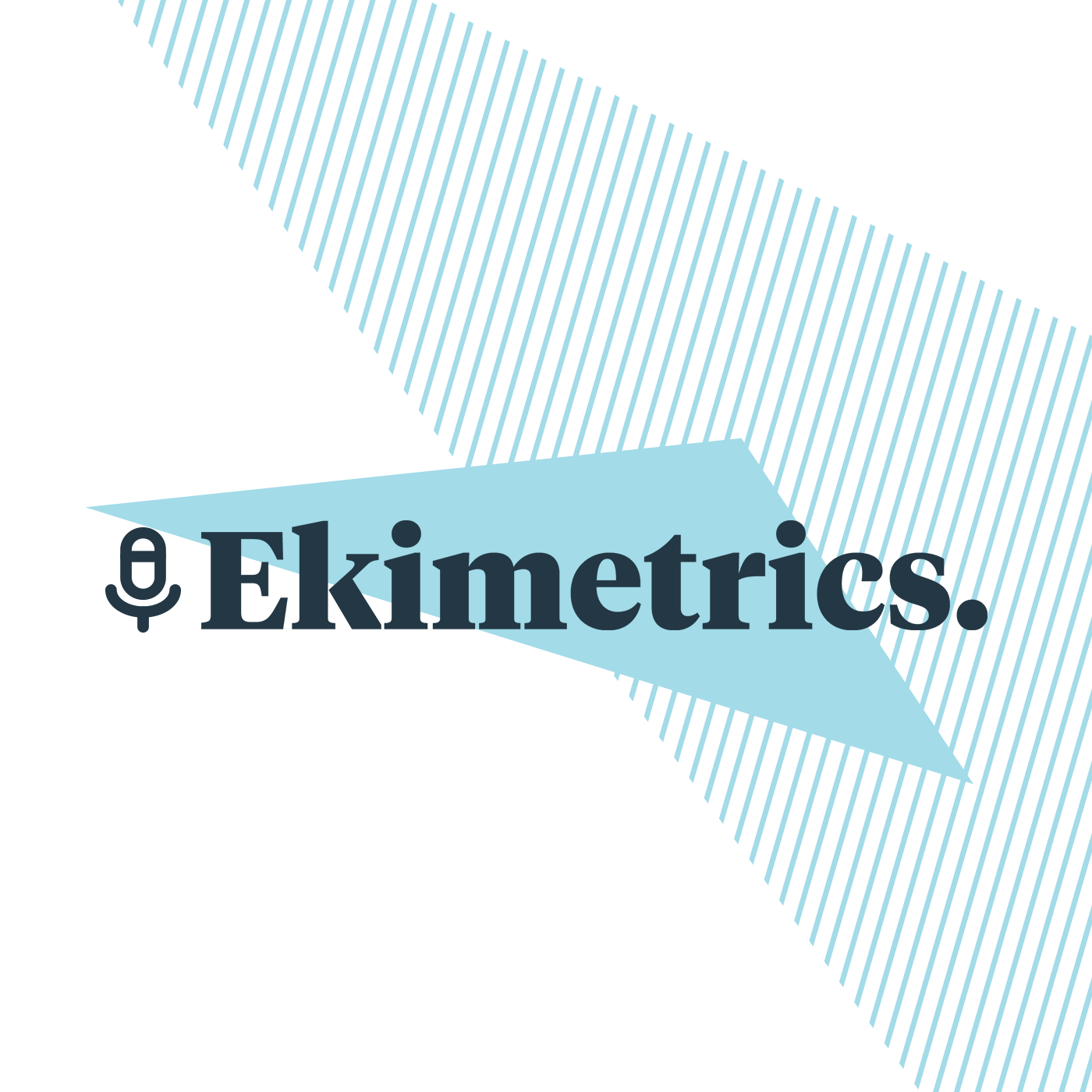 Ekimetrics (Eng)