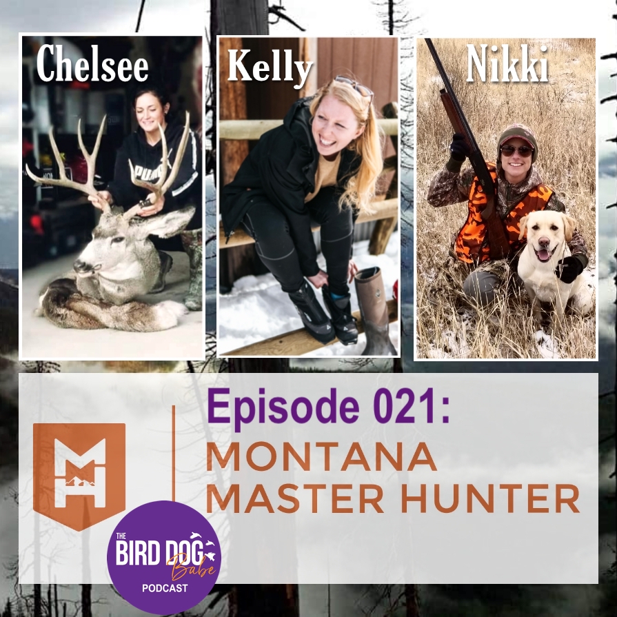 The Bird Dog Babe