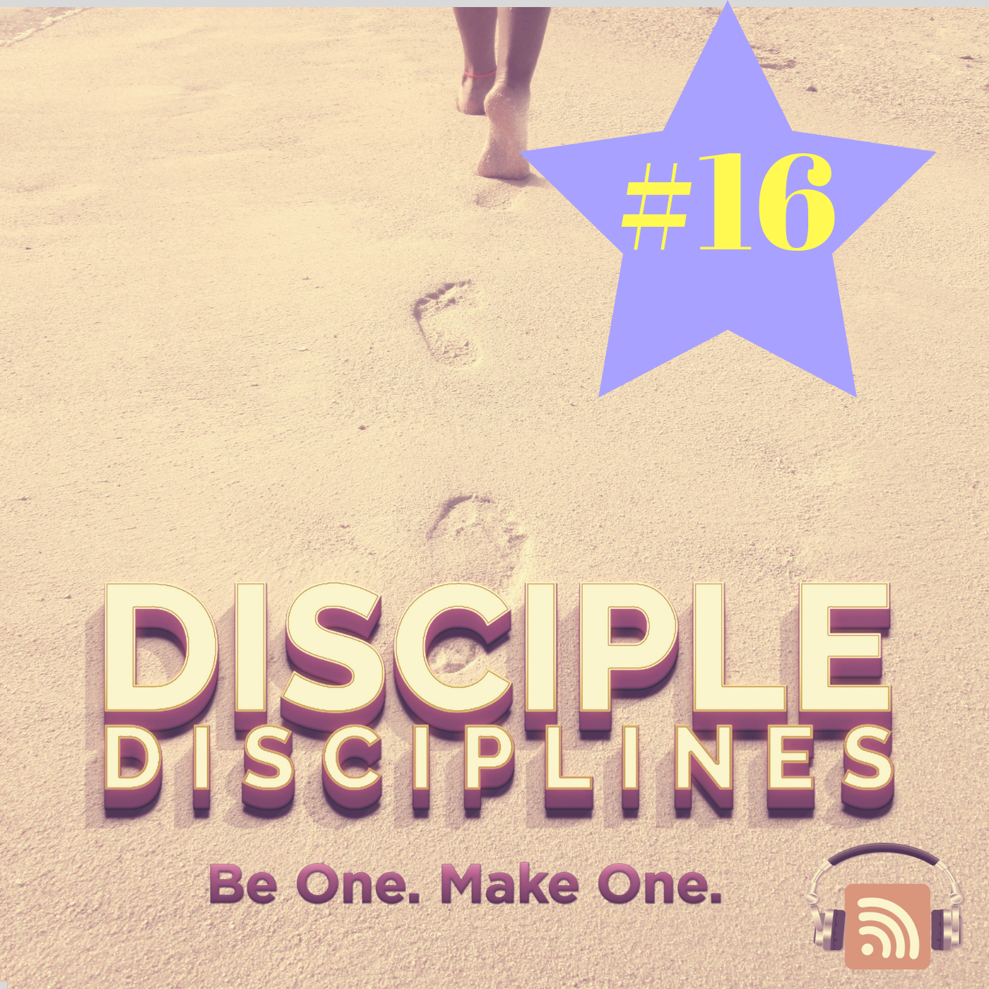 disciple disciplines
