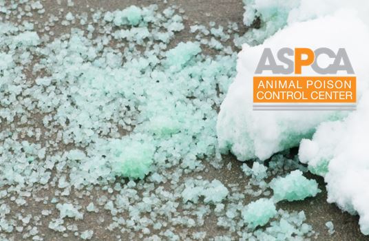 ASPCA Animal Poison Control Center for Vets