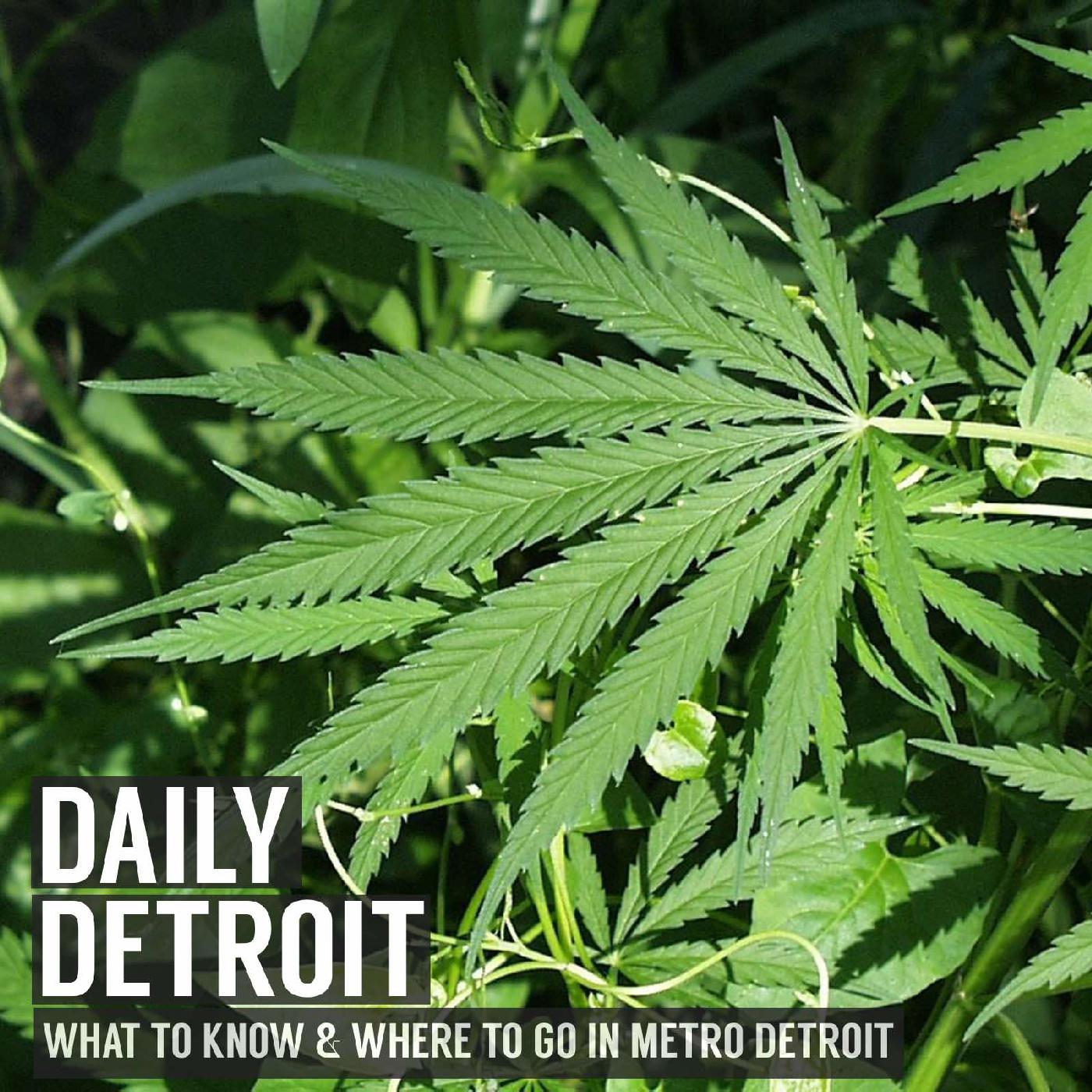 Daily Detroit