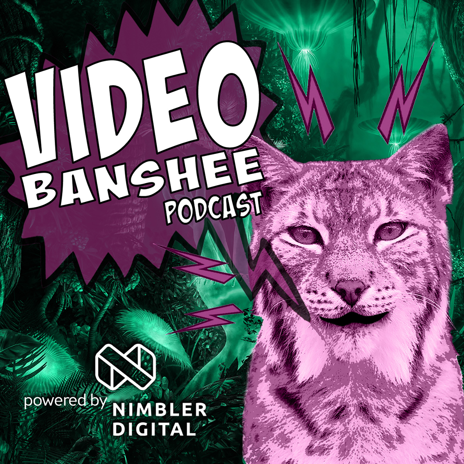The Video Banshee Podcast:Chad Shuttleworth