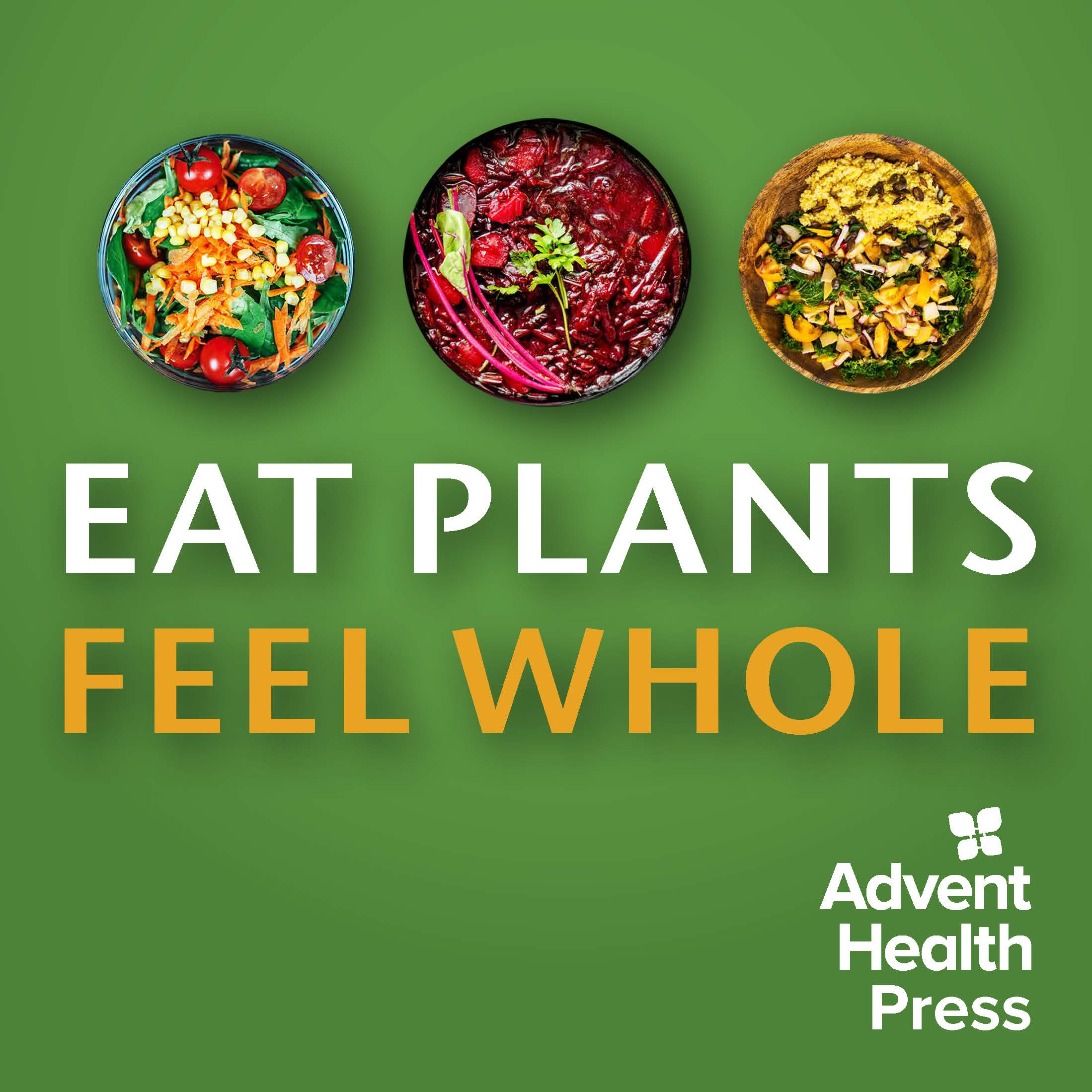 растение венерина мухоловка. Different parts of a plant. веган постеры. Vegetarianism плакаты. Eat plants.