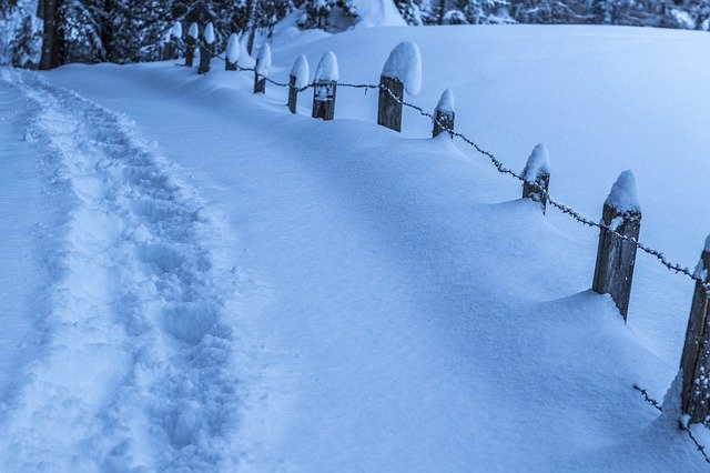 "Step by Step" by Rev. Wendy Page, Jan 31, 2021