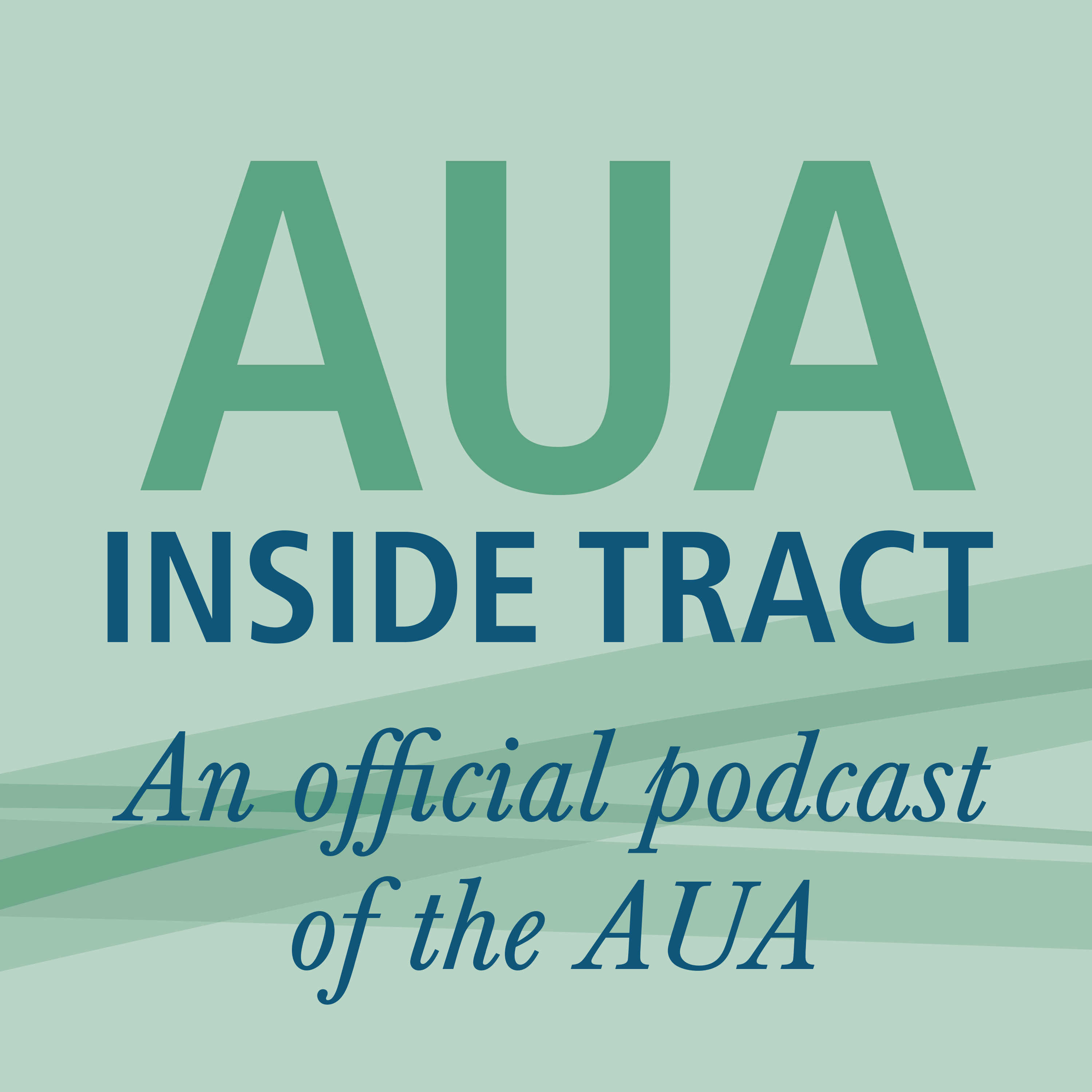 The Urology Care Foundation With Dr Sandy Siegel By Aua Inside Tract Podcast Poddmap