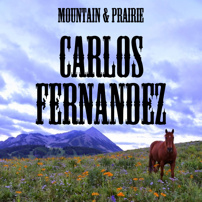 Carlos Fernandez - The Power of Partnerships