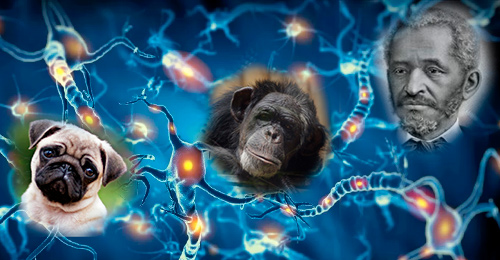 Cienciaes.com
