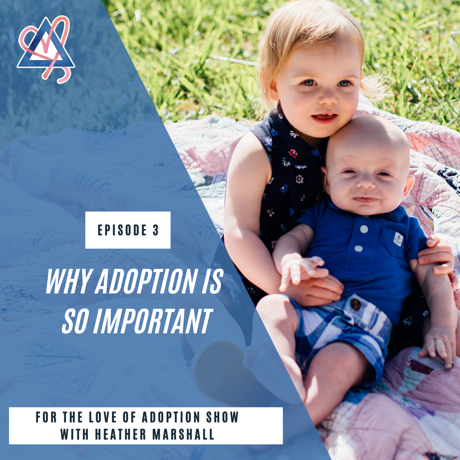 For the Love of Adoption Show